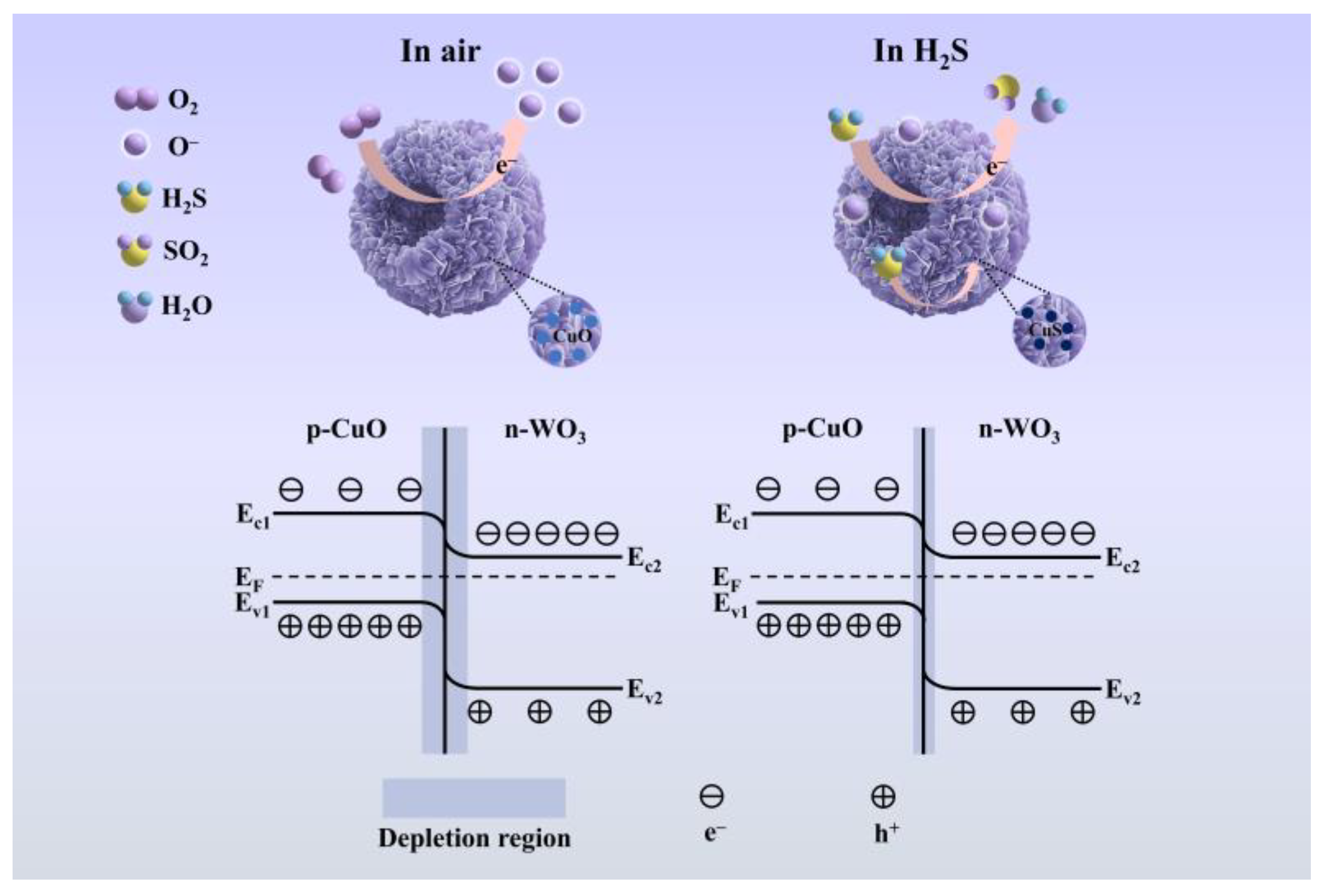 Chemosensors 13 00250 g007