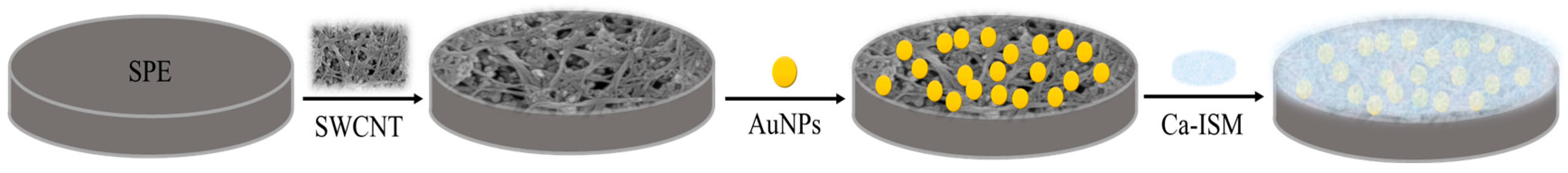 Chemosensors 13 00252 g001