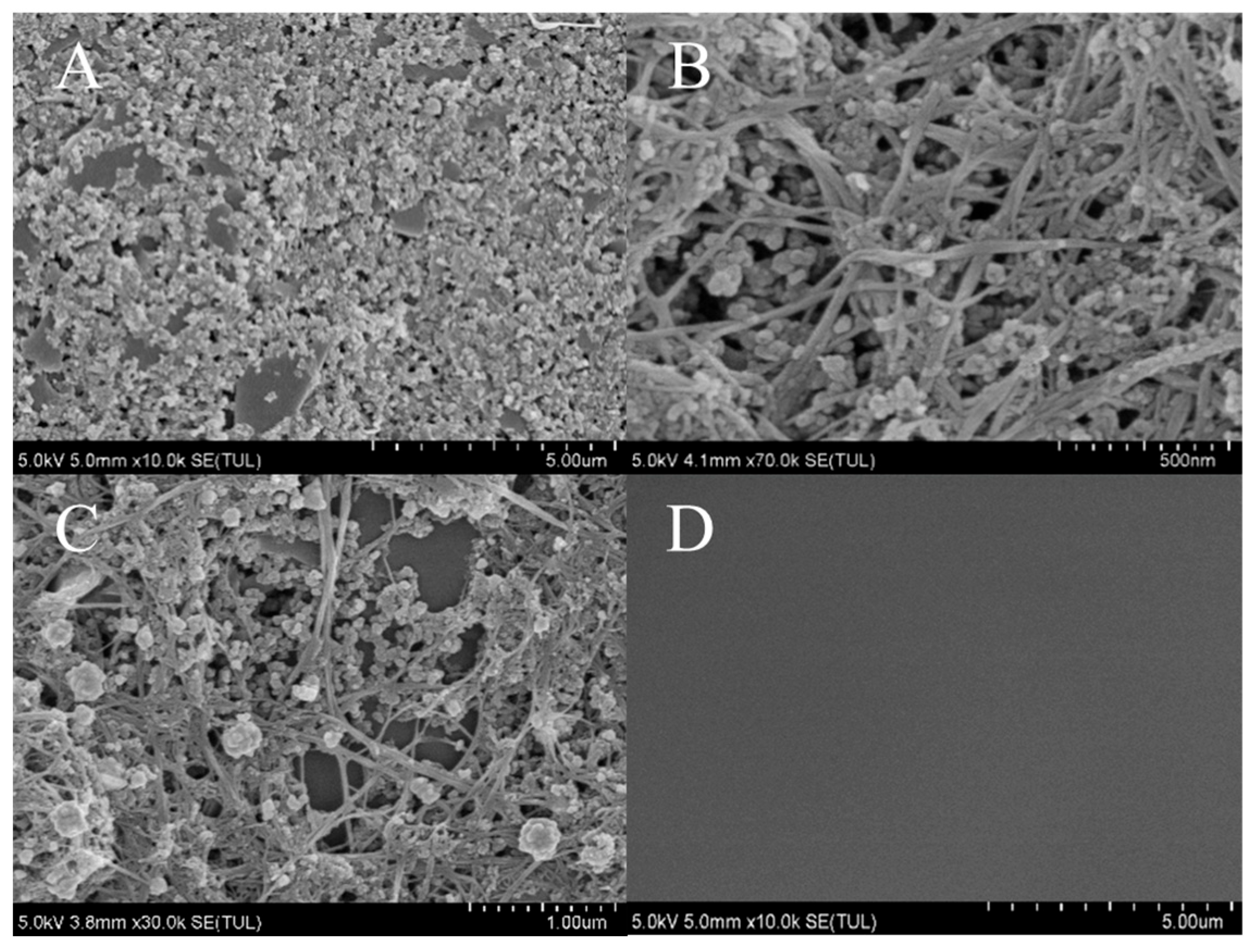 Chemosensors 13 00252 g002