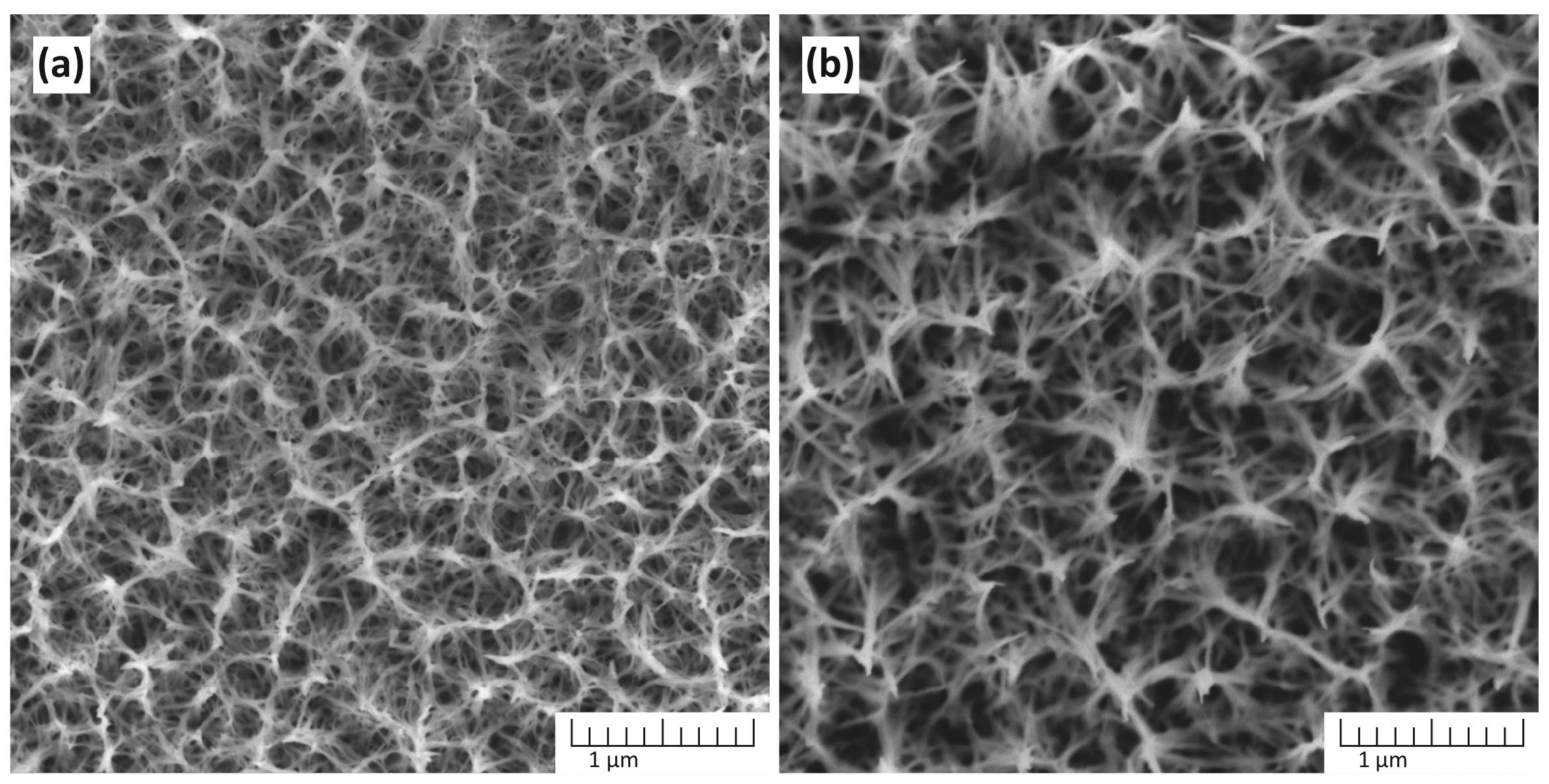 Chemosensors 13 00256 g003