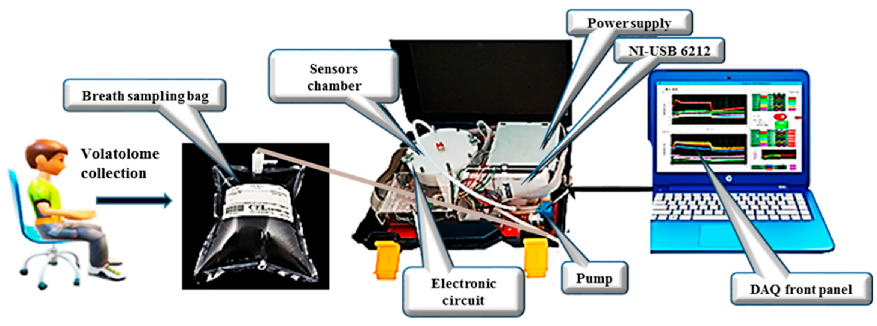 Chemosensors 13 00260 g001
