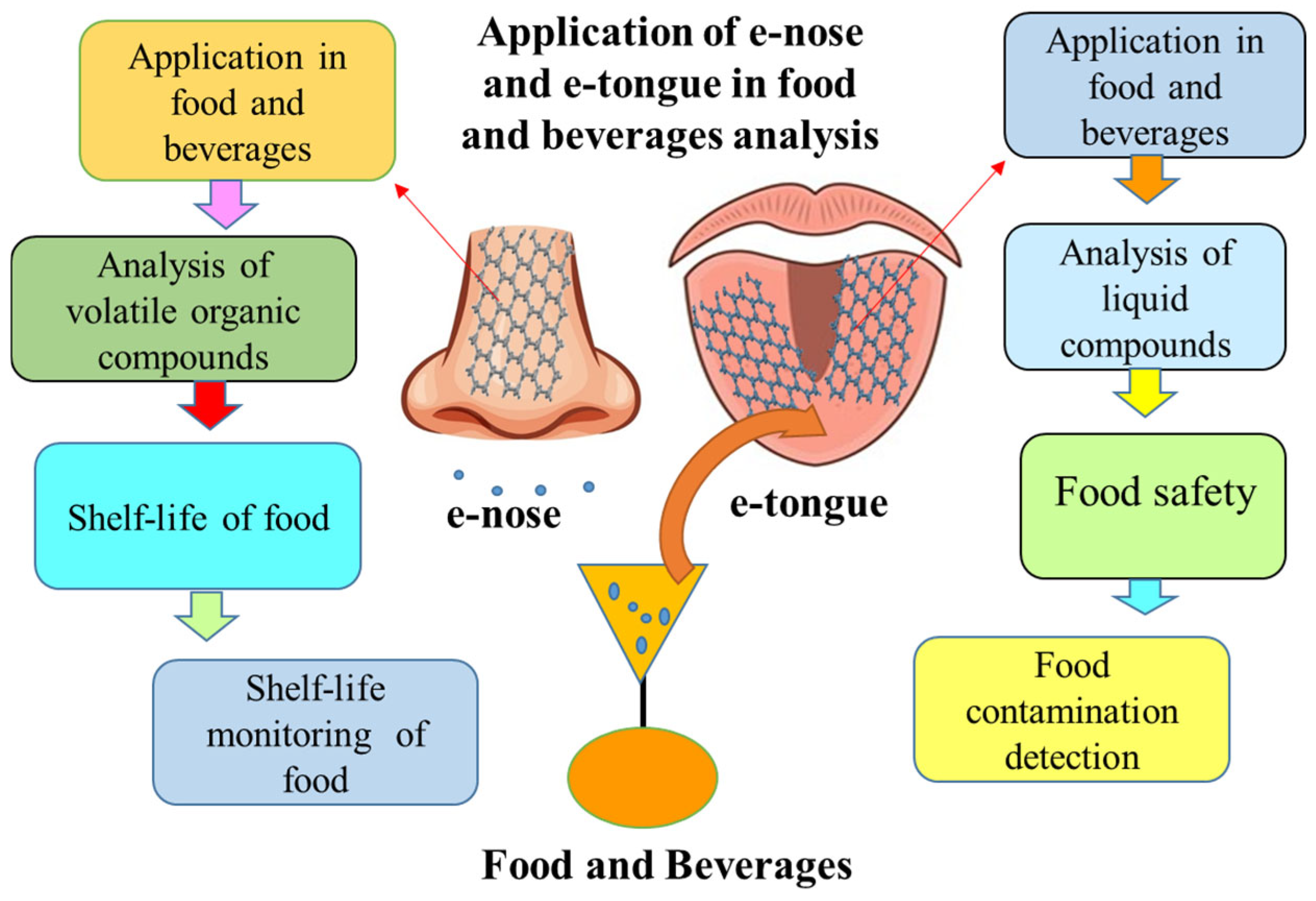 Chemosensors 13 00262 g001