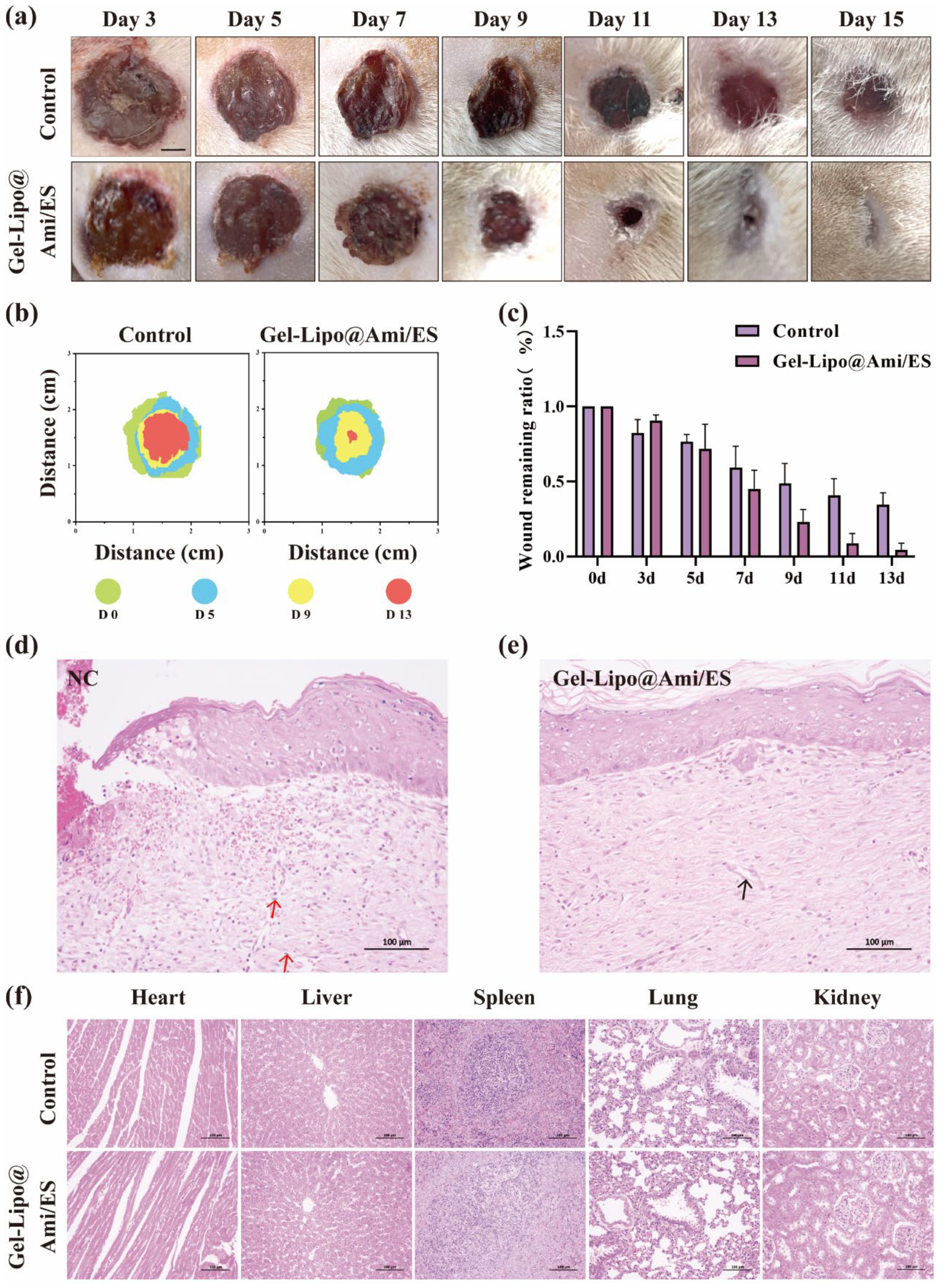 Chemosensors 13 00267 g006