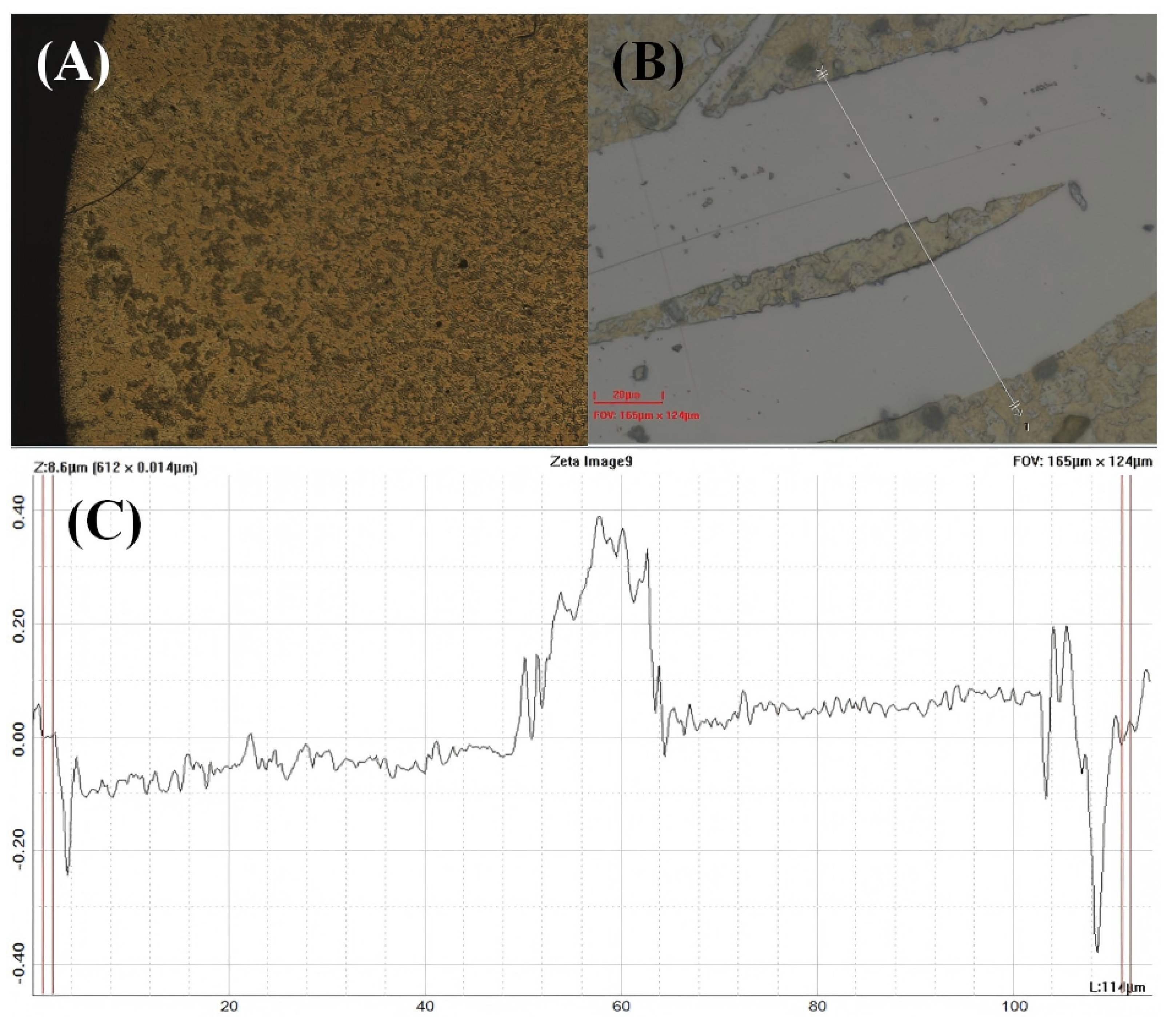 Chemosensors 13 00269 g0a1