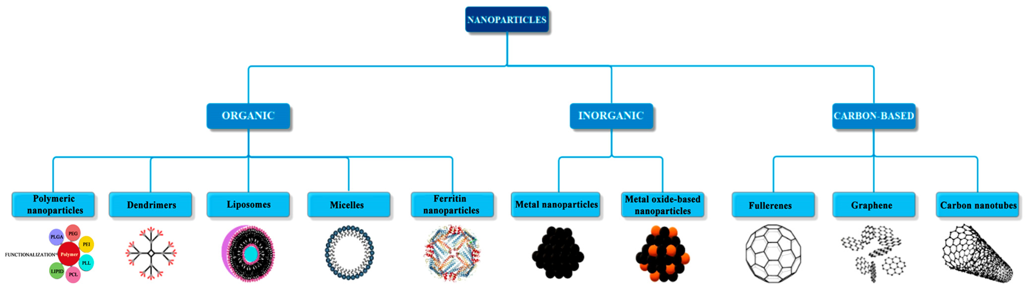 Chemosensors 13 00272 g001
