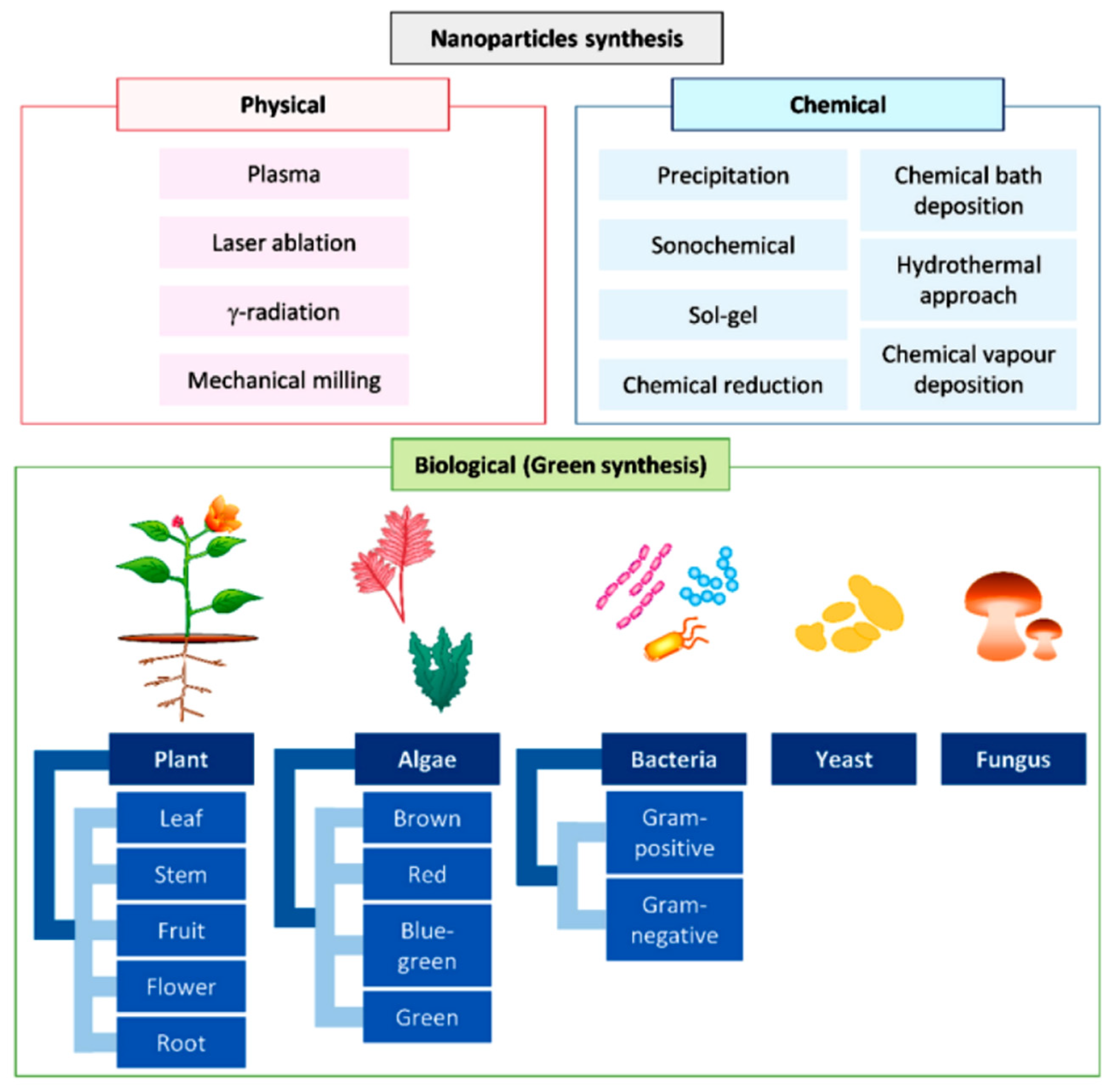 Chemosensors 13 00272 g003