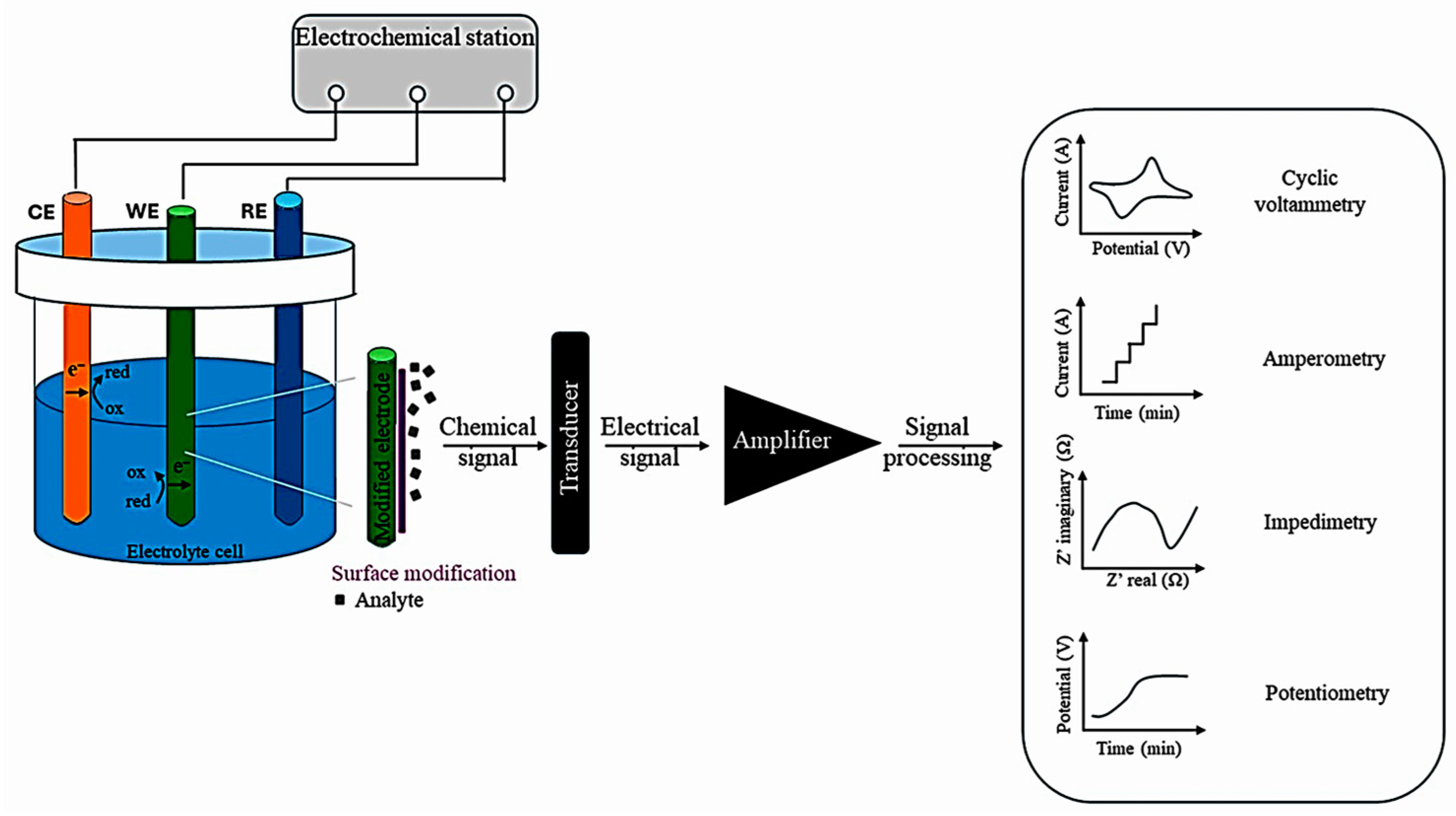 Chemosensors 13 00272 g006