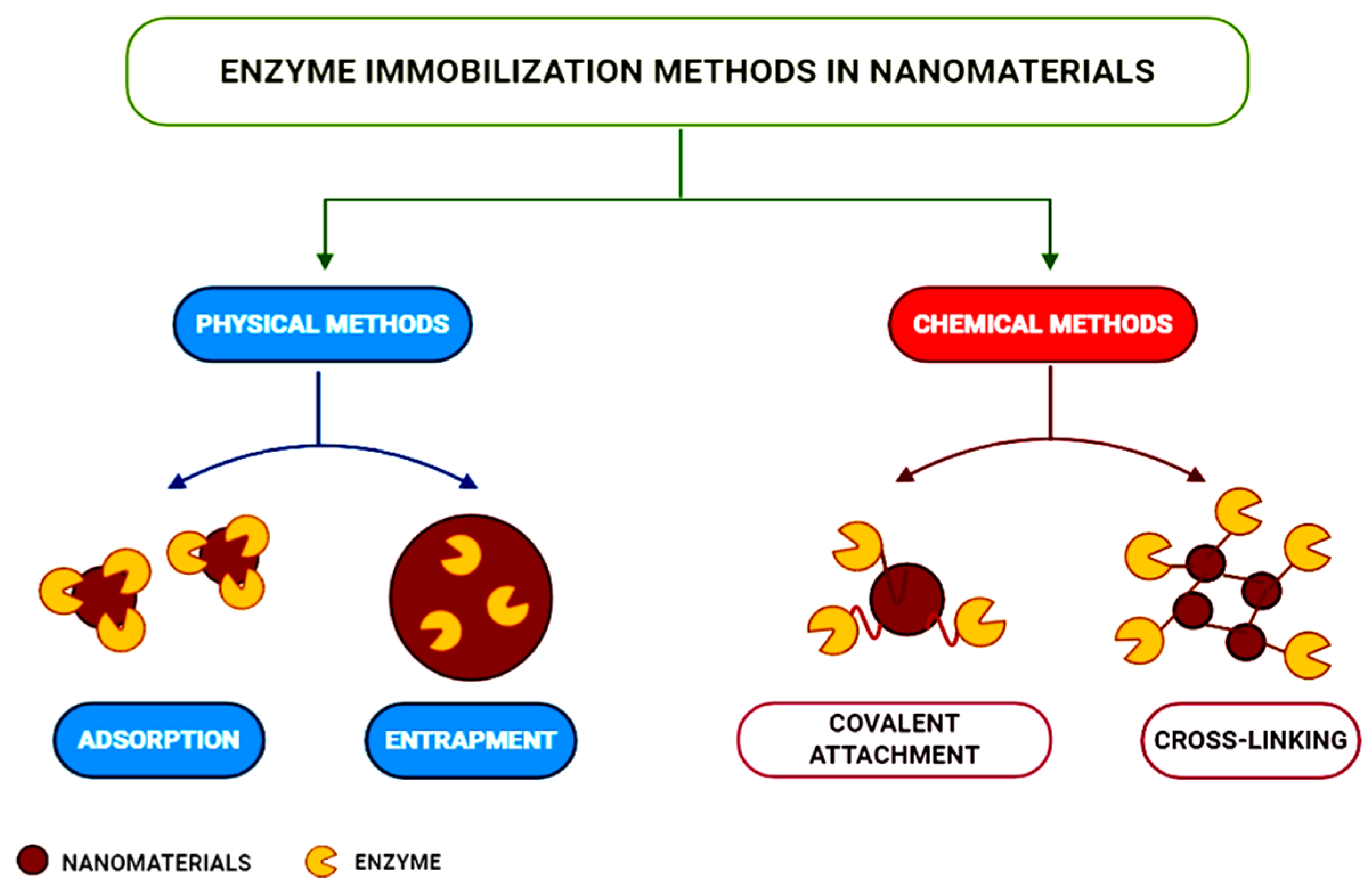 Chemosensors 13 00272 g008
