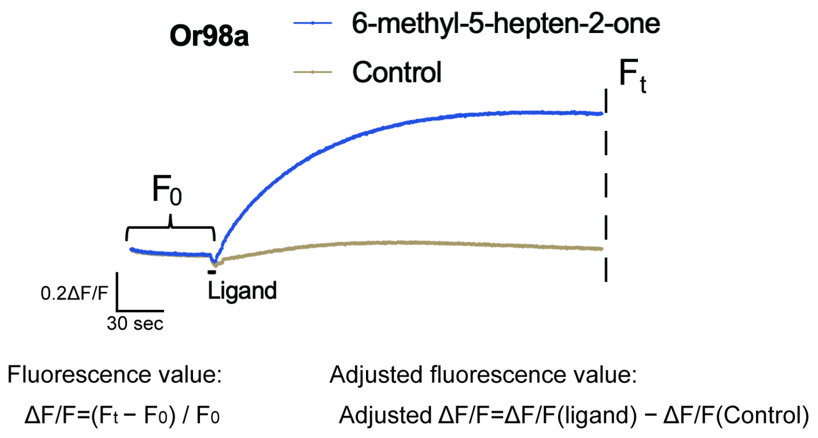 Chemosensors 13 00273 g002