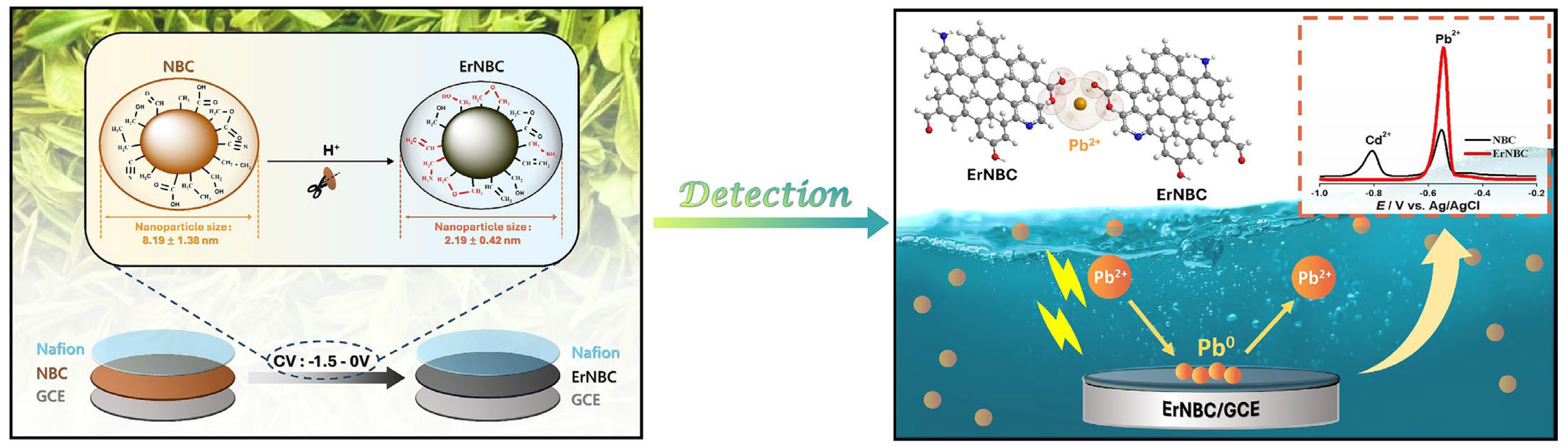 Chemosensors 13 00278 g001