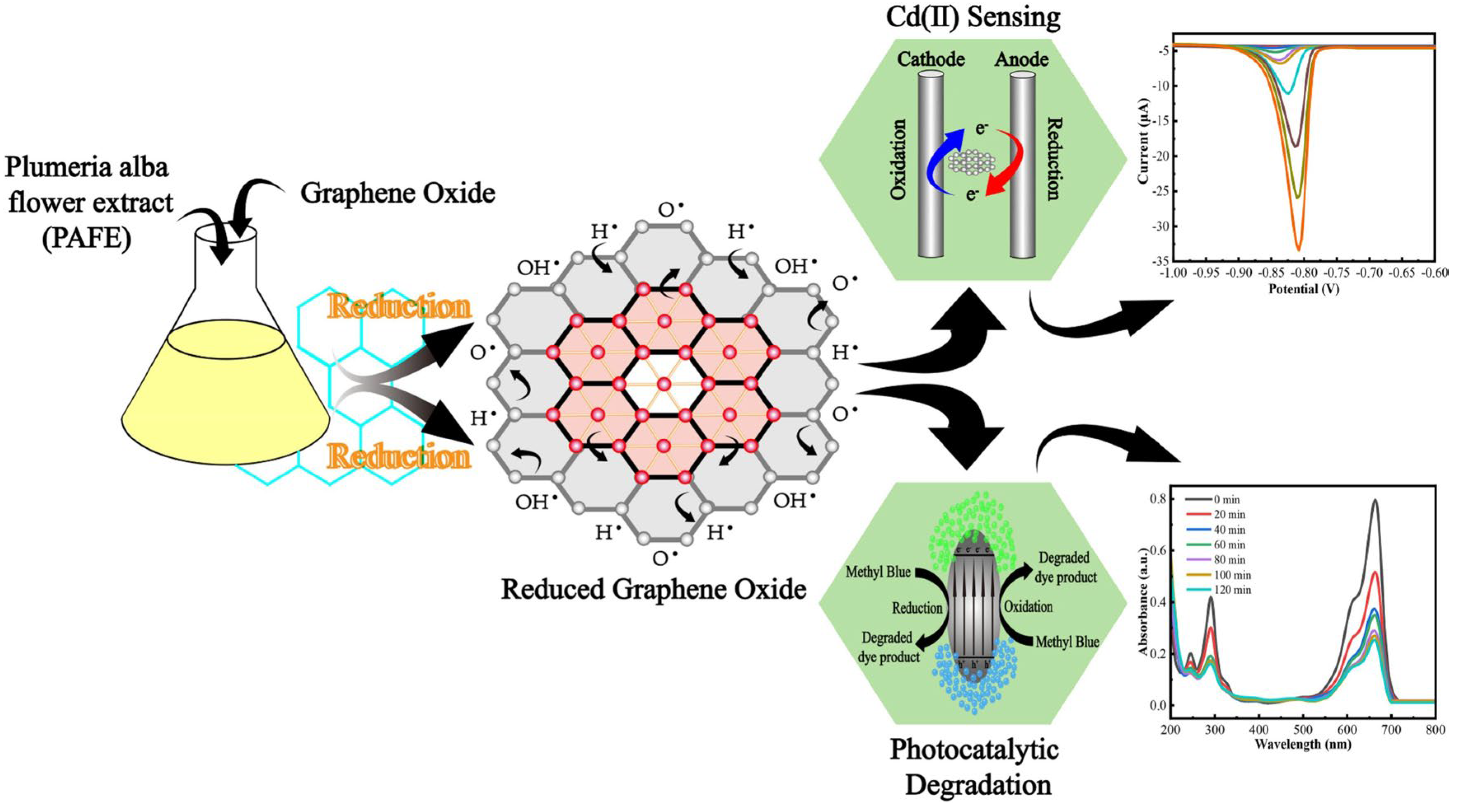 Chemosensors 13 00278 g002