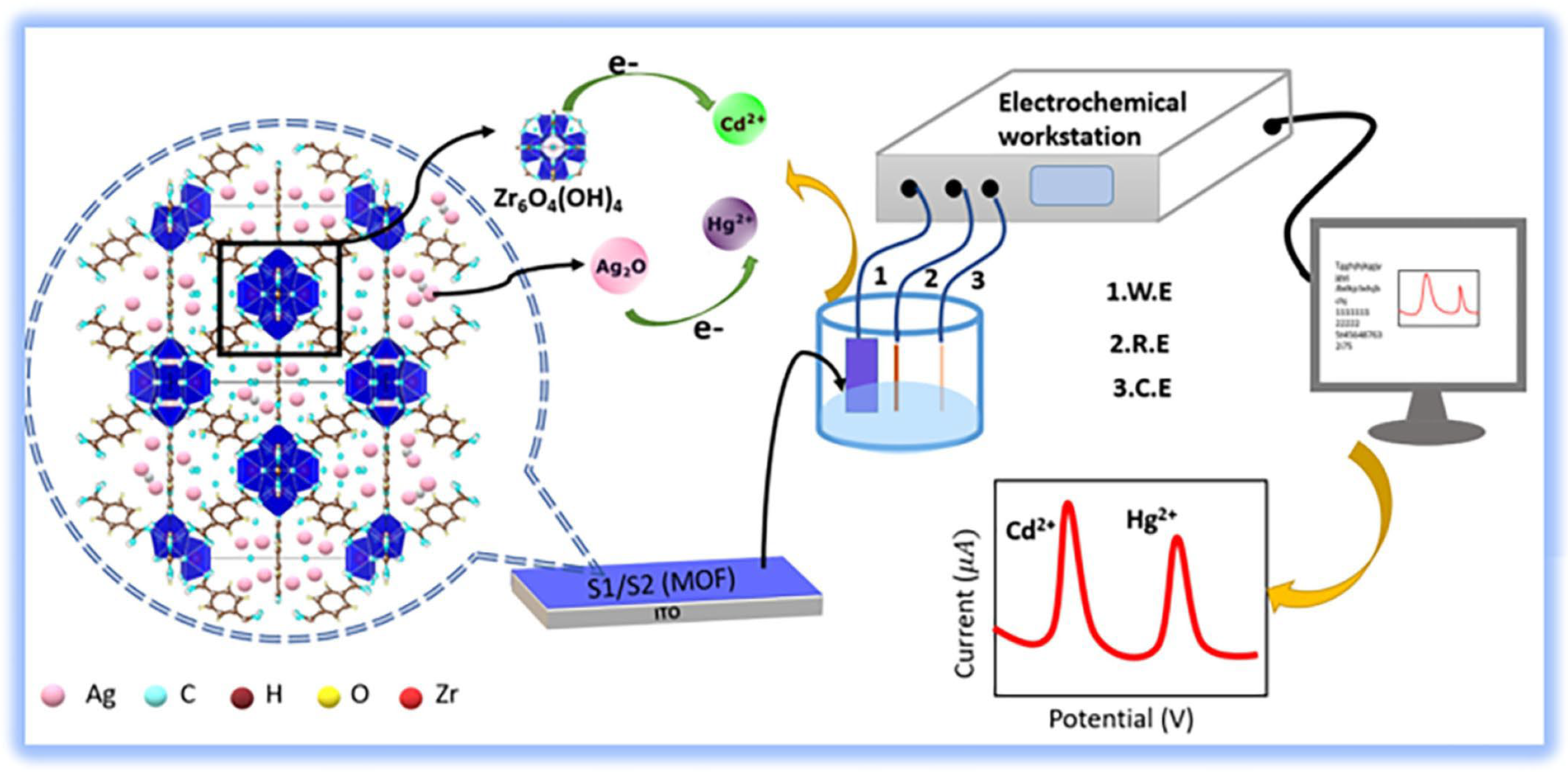 Chemosensors 13 00278 g006