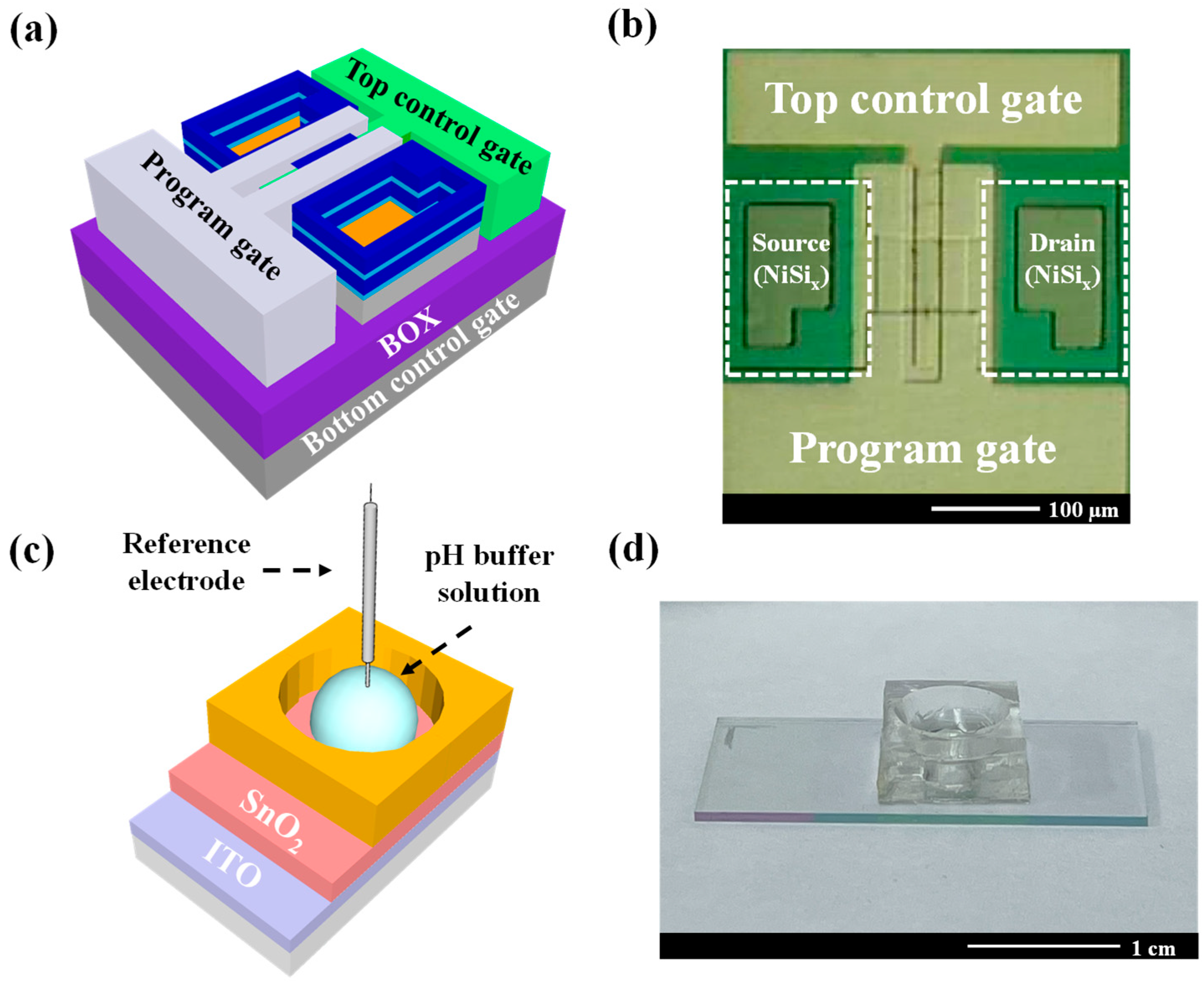 Chemosensors 13 00281 g001