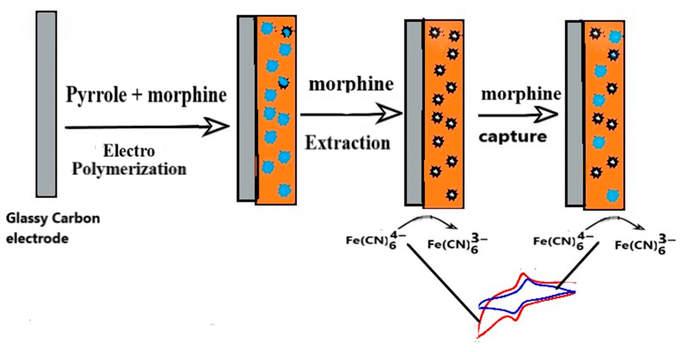 Chemosensors 13 00284 g002
