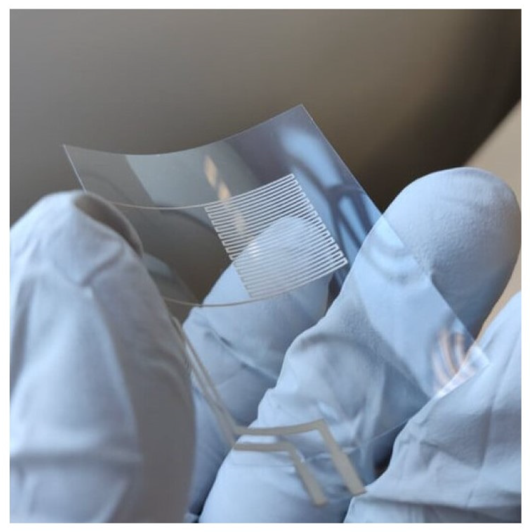 Chemosensors 13 00285 g004