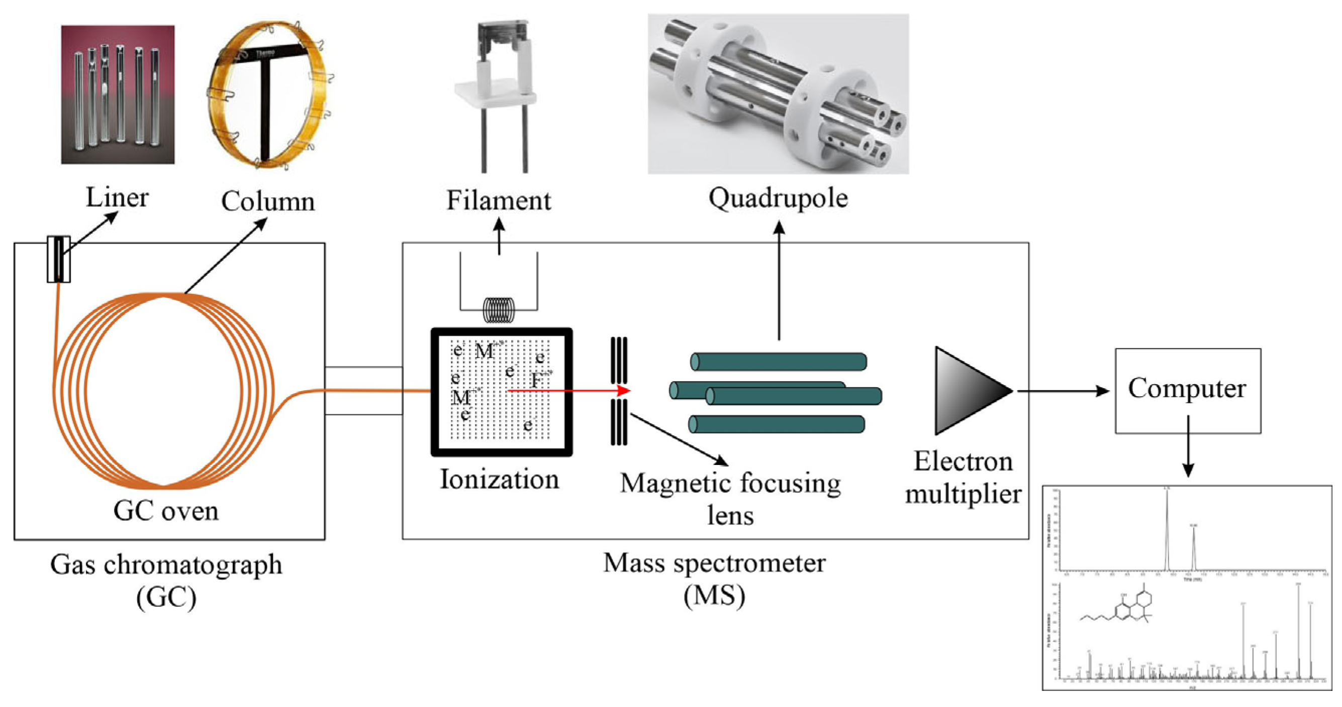 Chemosensors 13 00286 g001