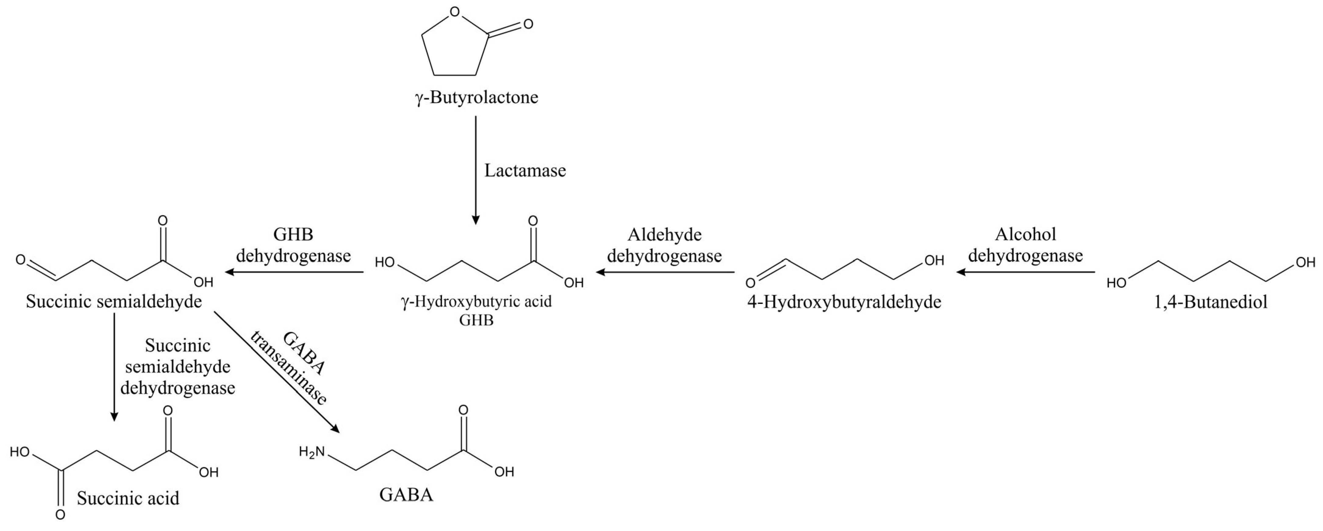 Chemosensors 13 00286 g010