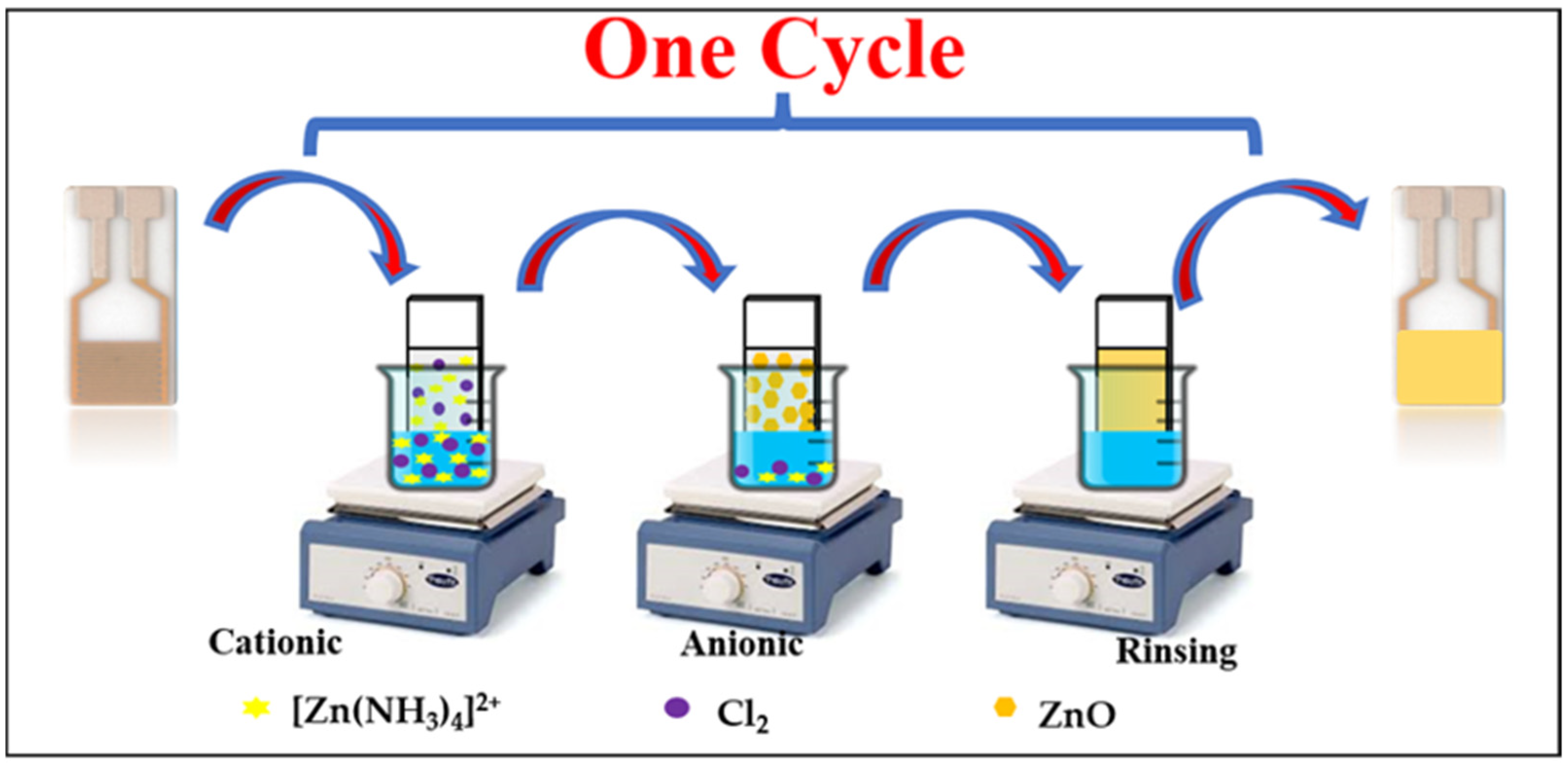 Chemosensors 13 00289 g001