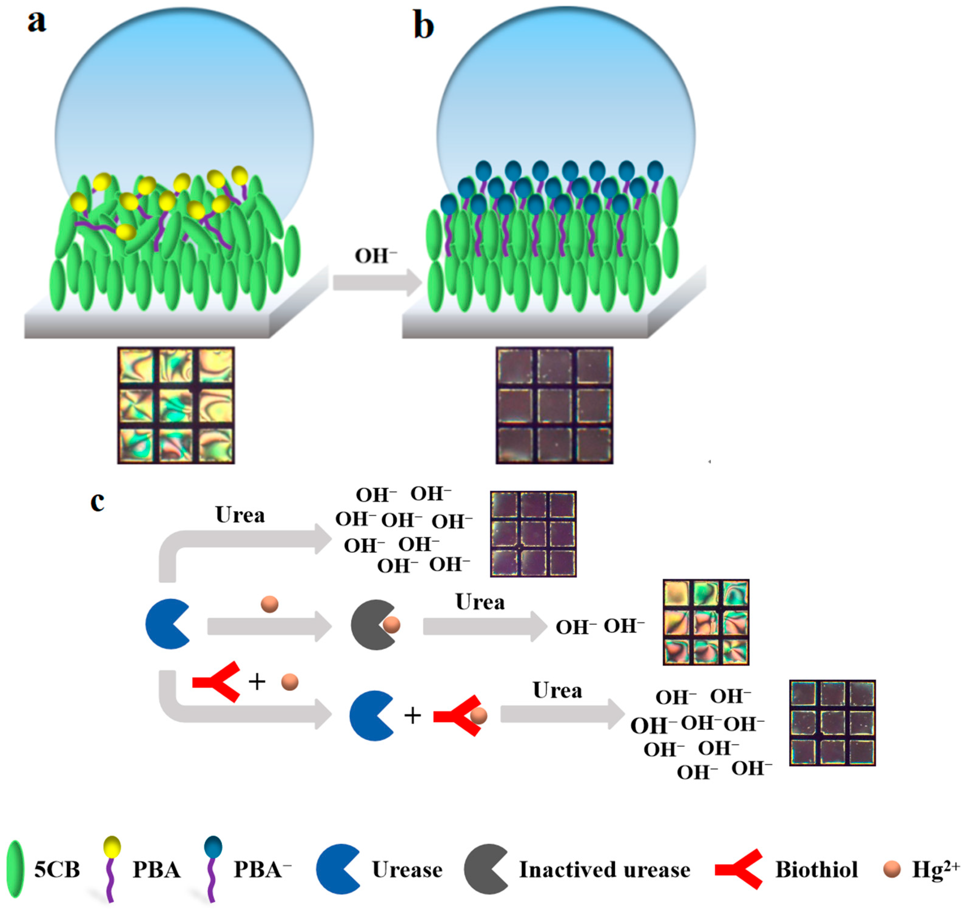 Chemosensors 13 00291 g002