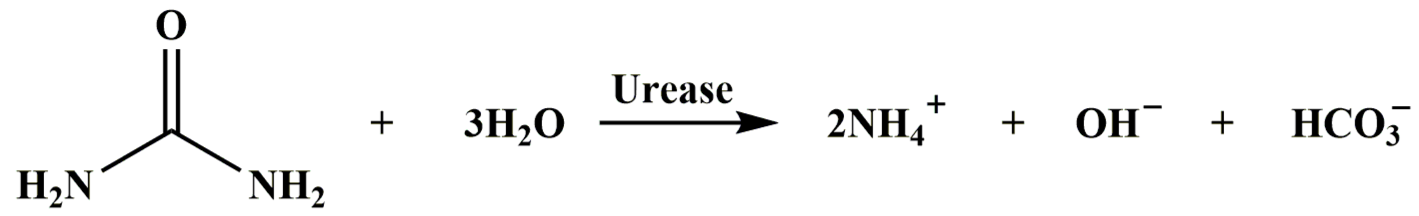 Chemosensors 13 00291 g003