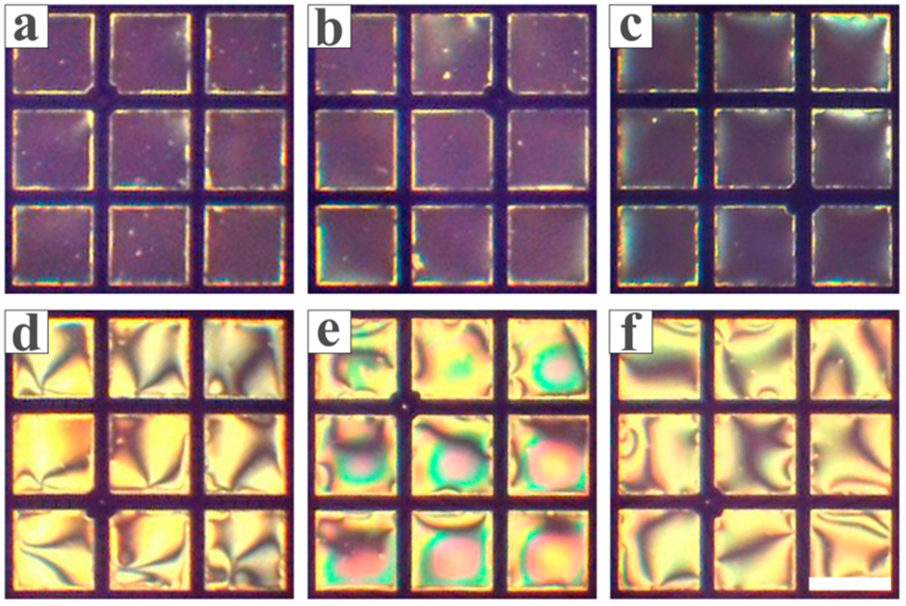 Chemosensors 13 00291 g005