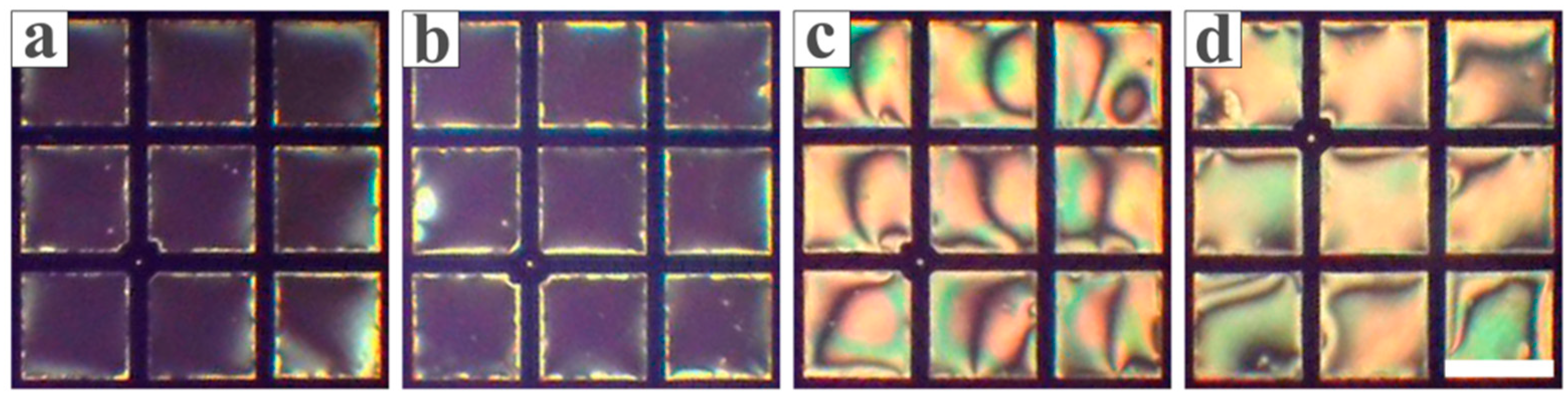 Chemosensors 13 00291 g006