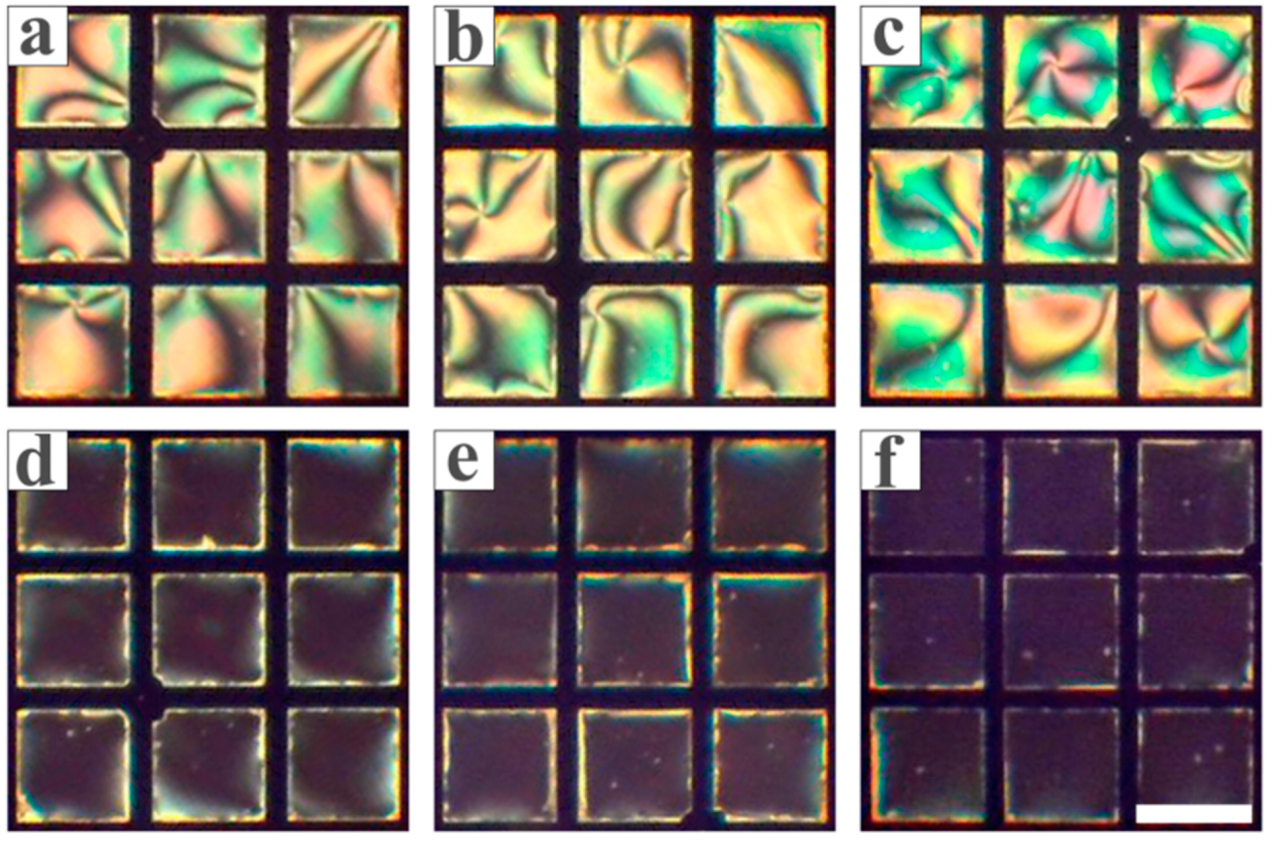 Chemosensors 13 00291 g008
