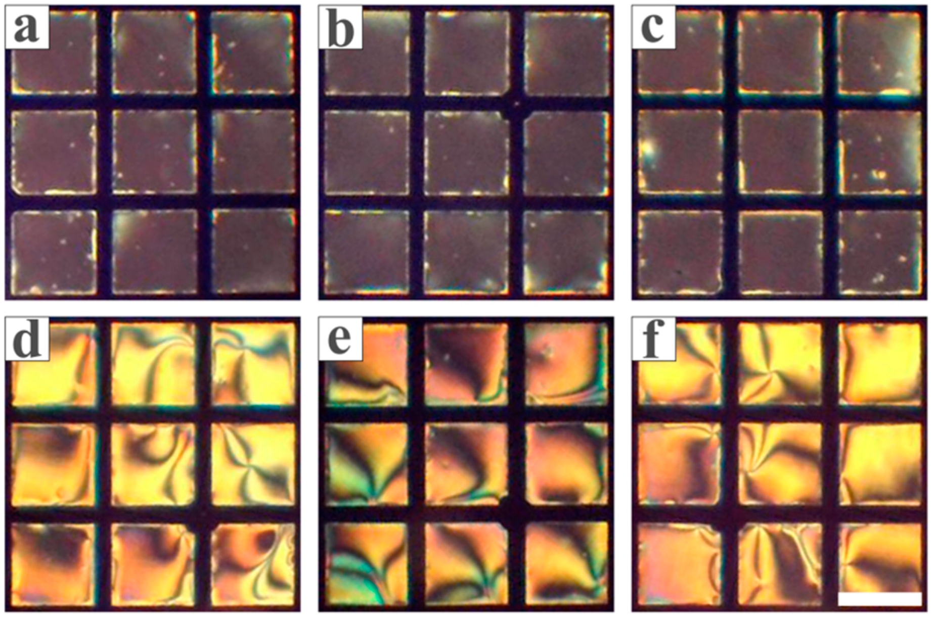 Chemosensors 13 00291 g011