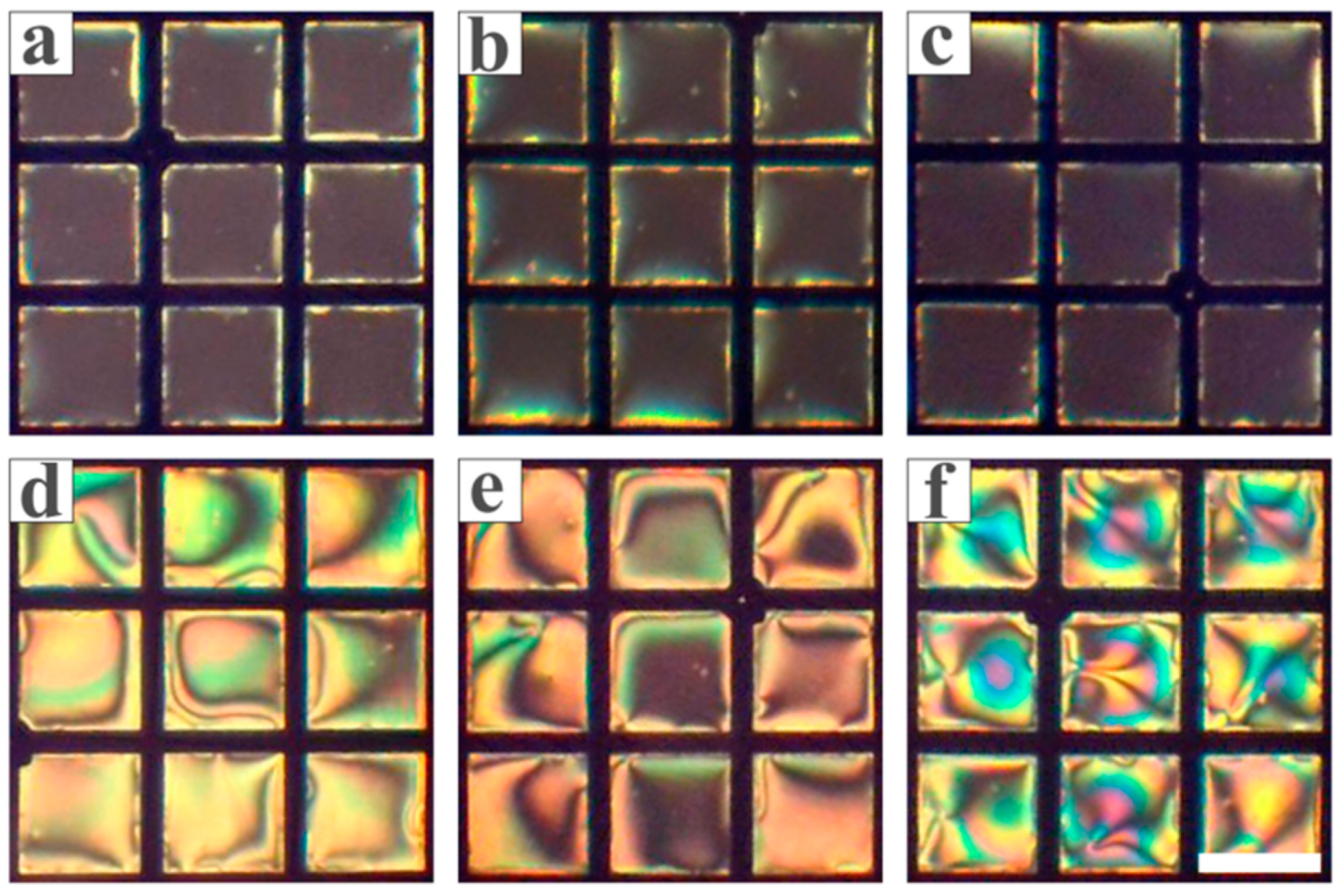 Chemosensors 13 00291 g012