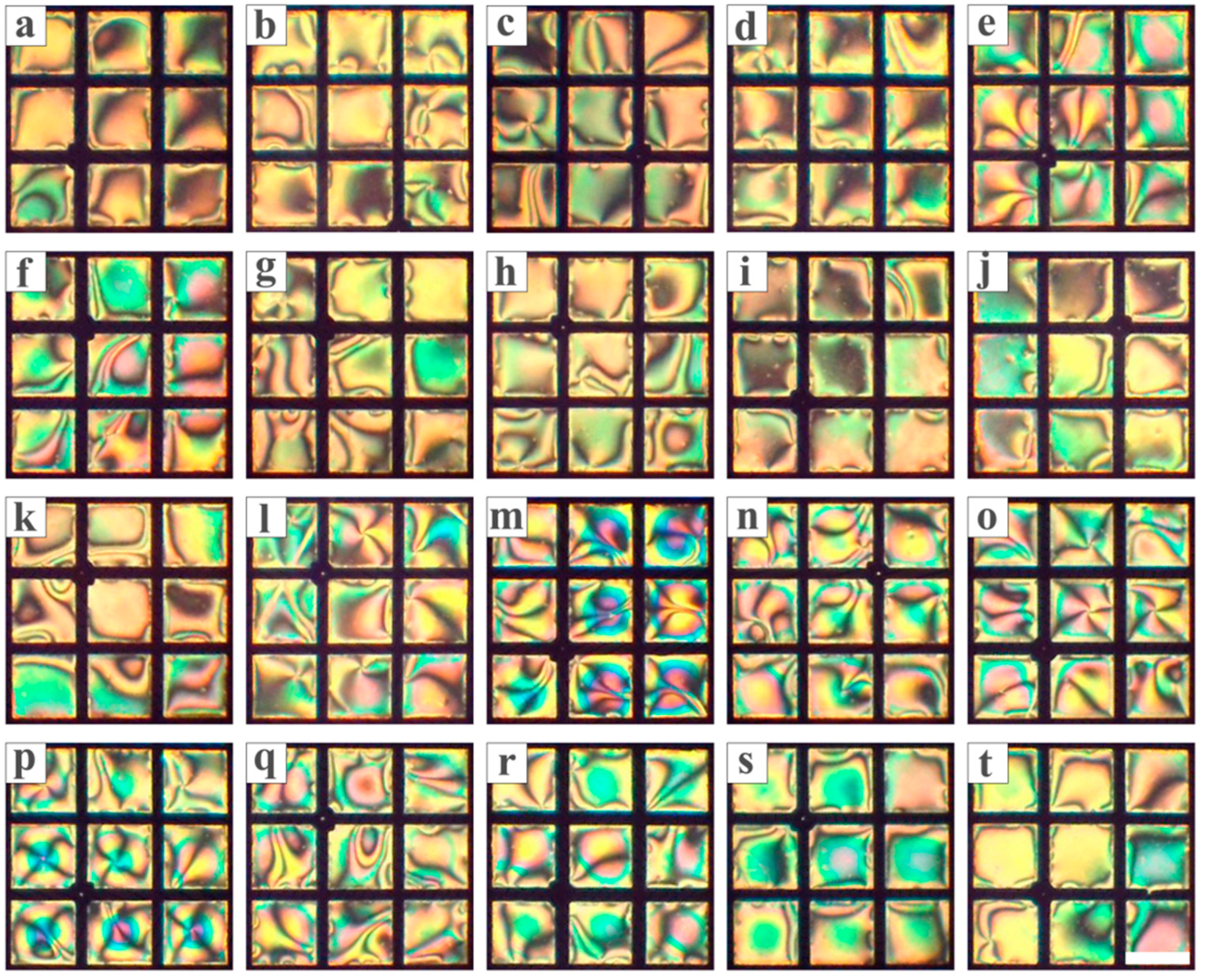 Chemosensors 13 00291 g013