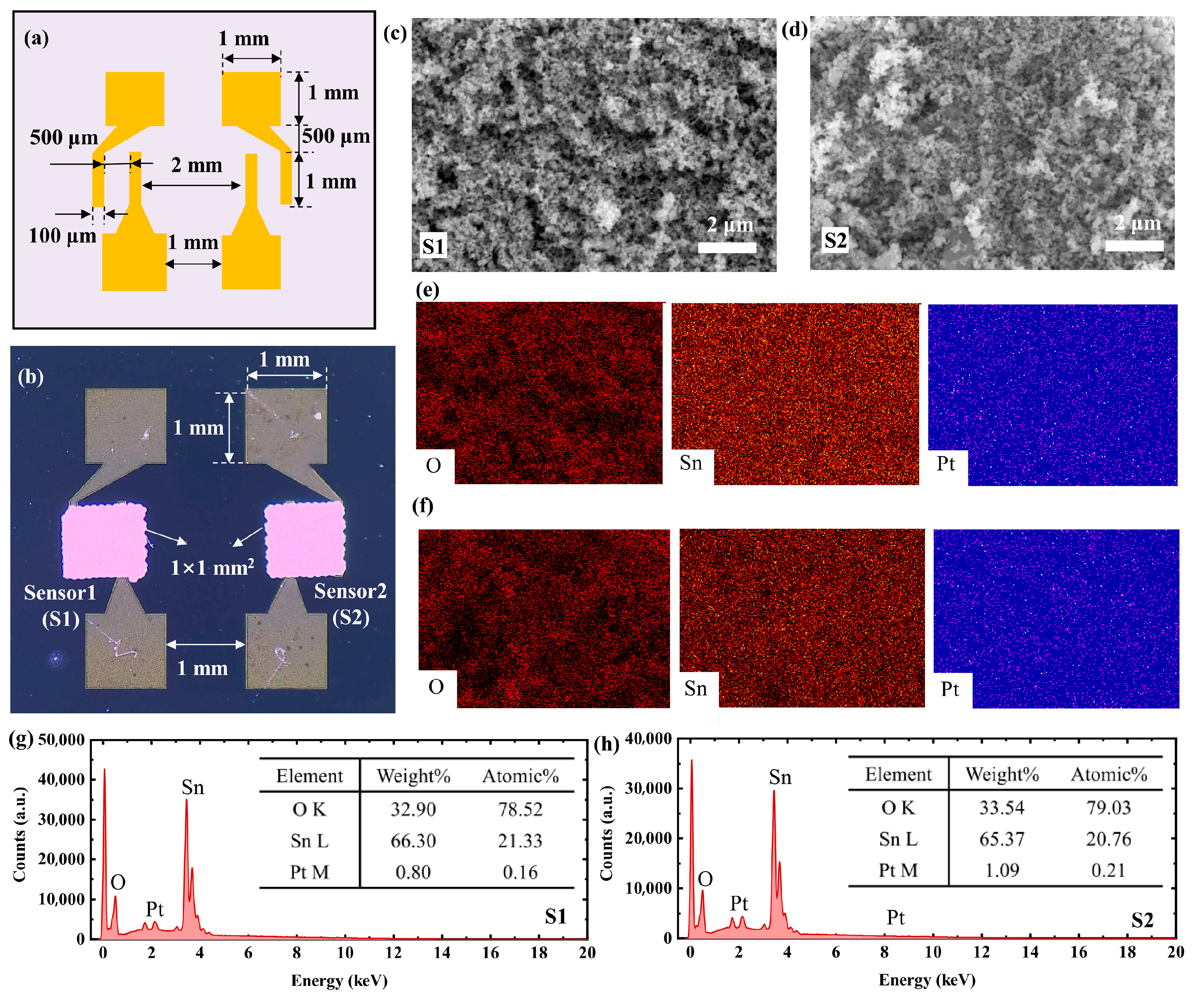 Chemosensors 13 00294 g002