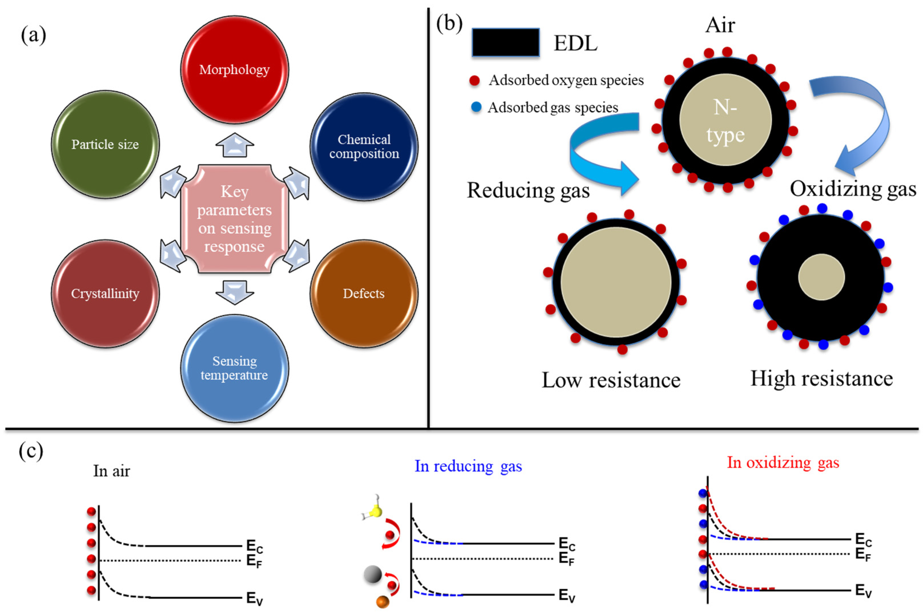 Chemosensors 13 00298 g001