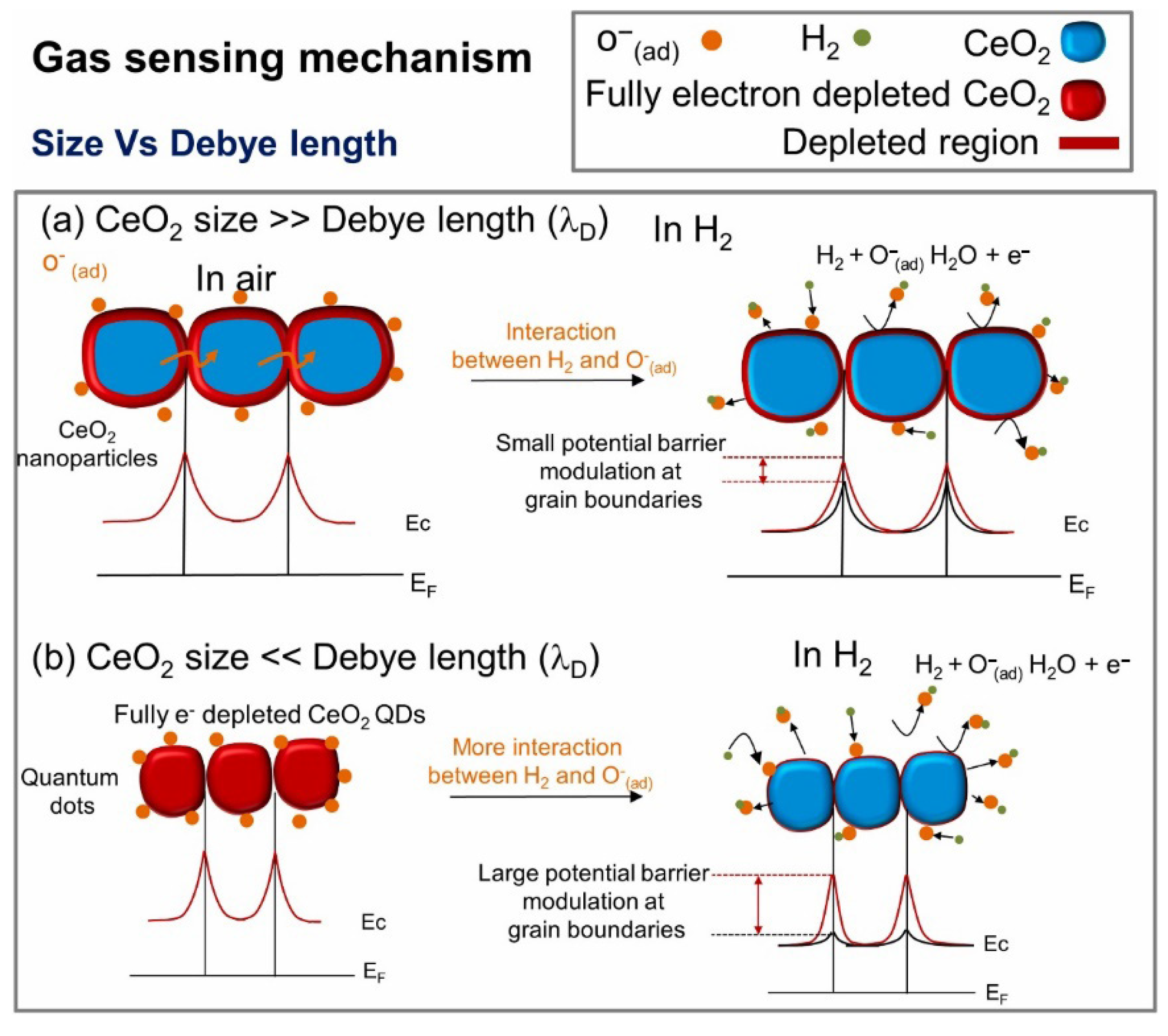 Chemosensors 13 00298 g003