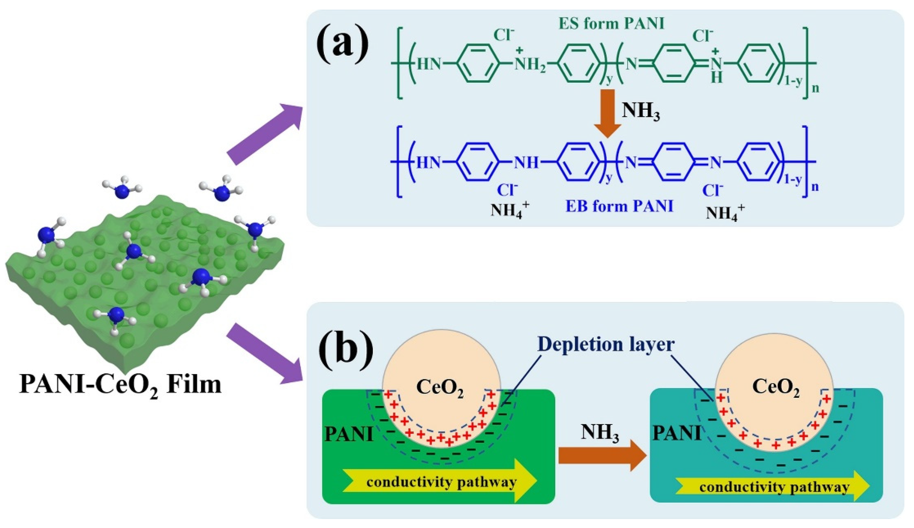 Chemosensors 13 00298 g005