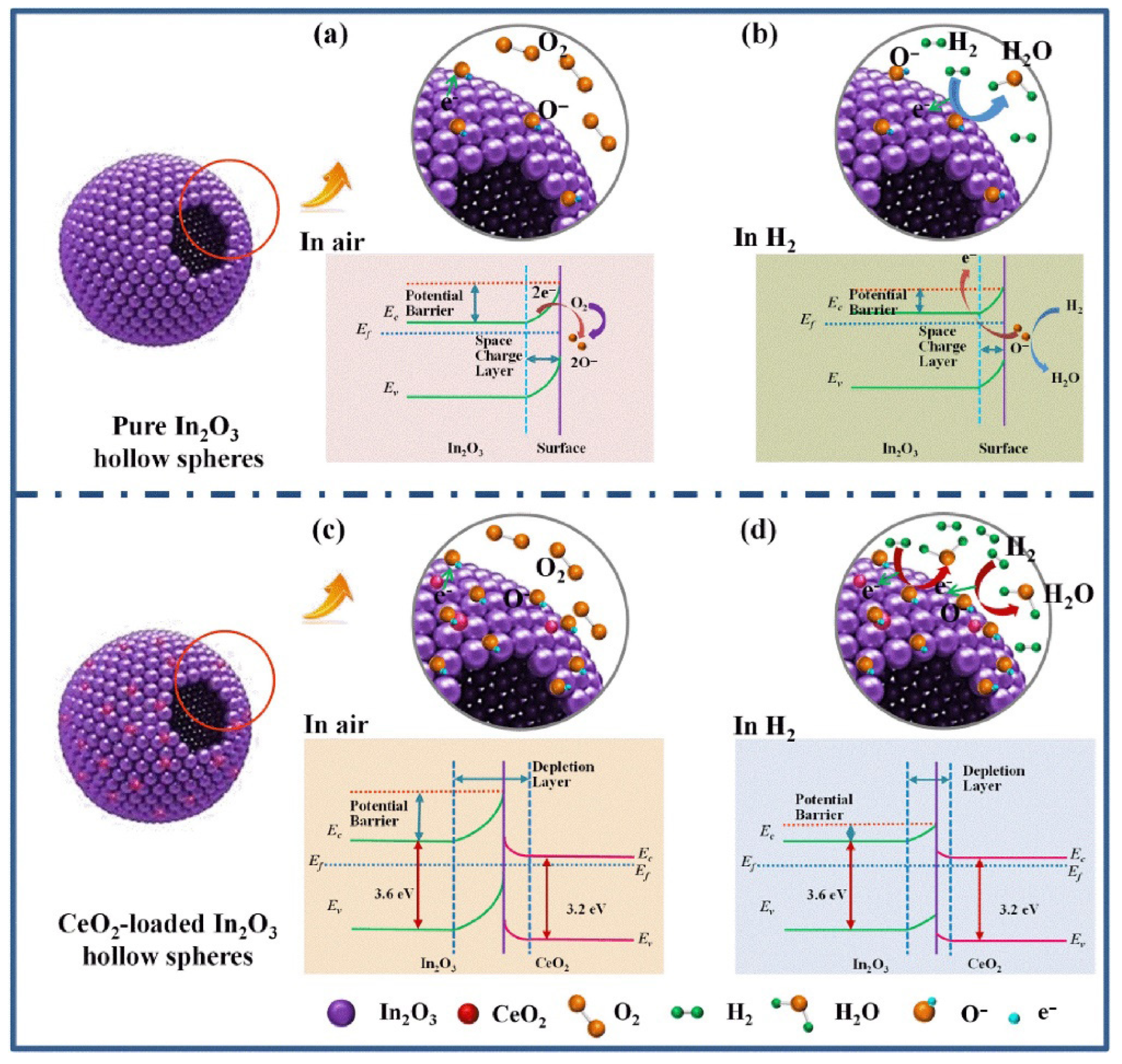 Chemosensors 13 00298 g006