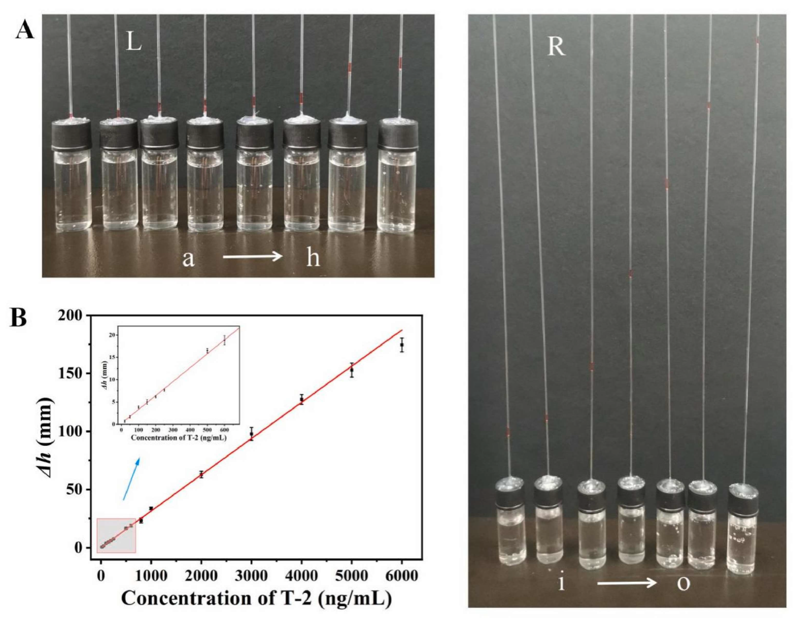 Chemosensors 13 00299 g004 Chemosensors 13 00299 g004