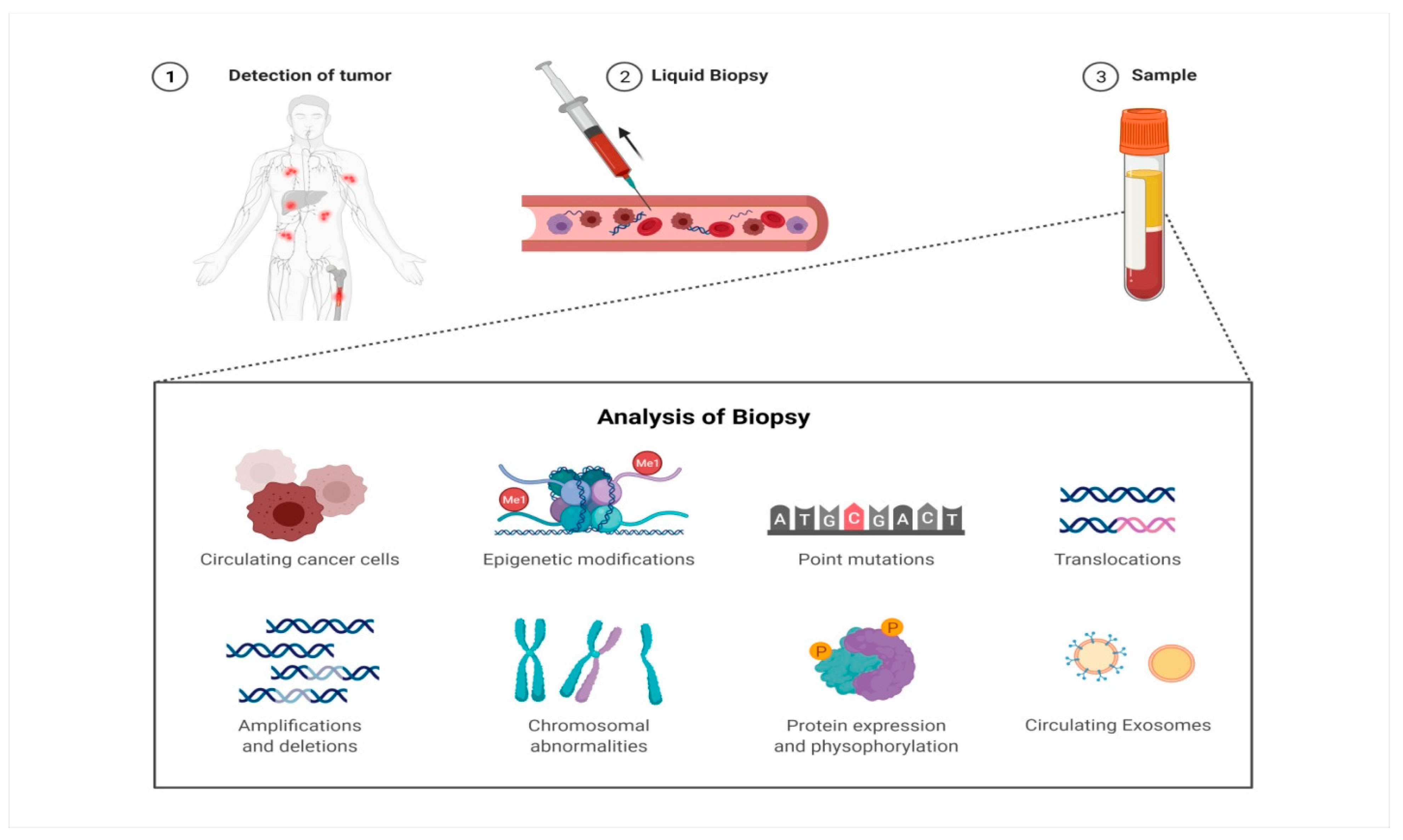 Chemosensors 13 00302 g001