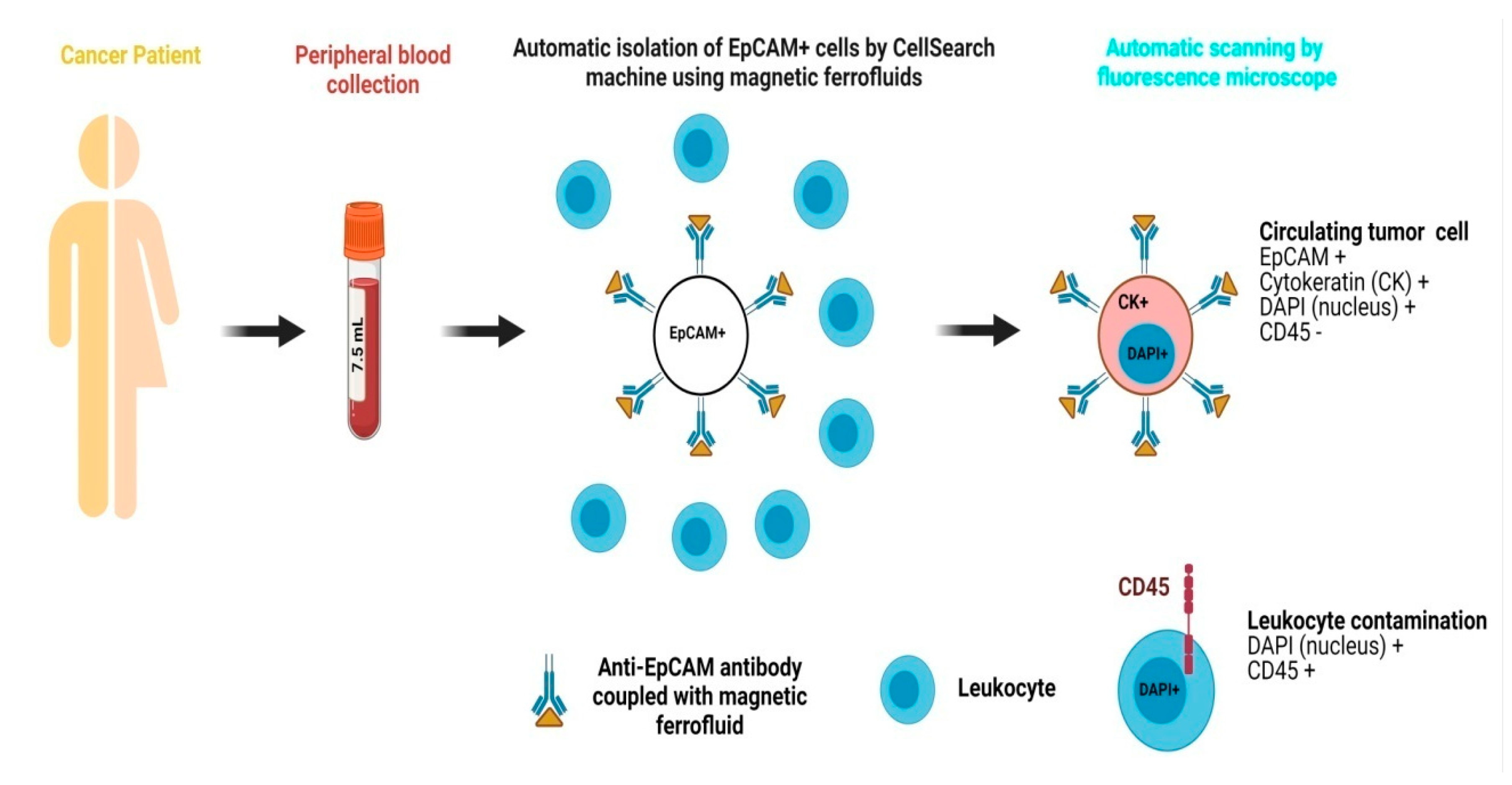 Chemosensors 13 00302 g002