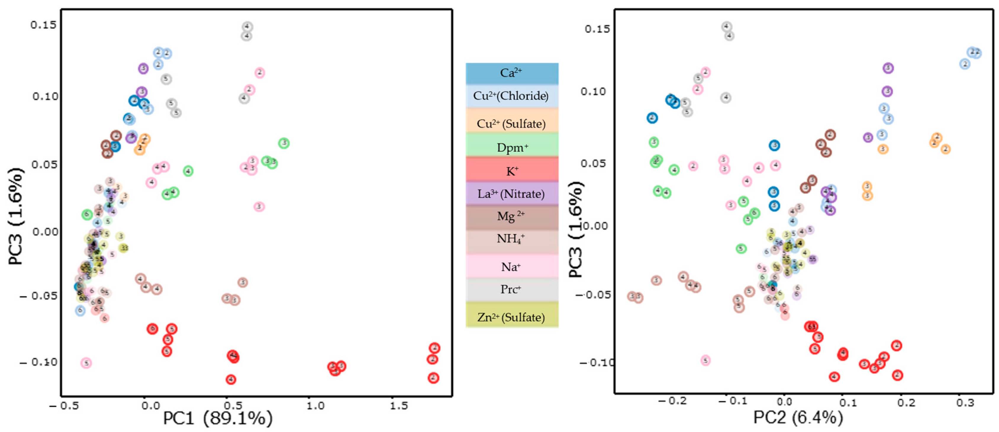 Chemosensors 13 00305 g007