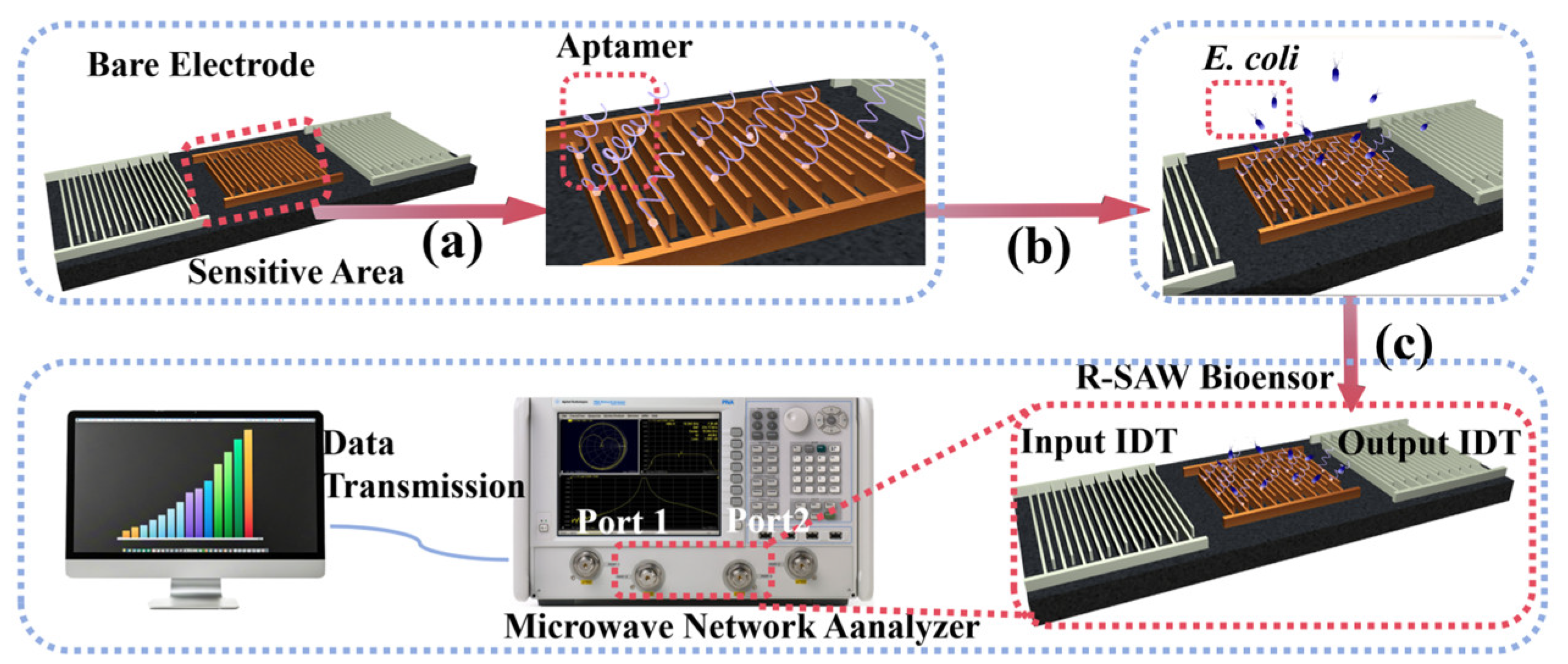 Chemosensors 13 00308 g001