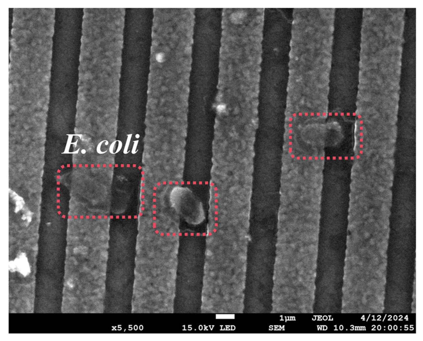 Chemosensors 13 00308 g004