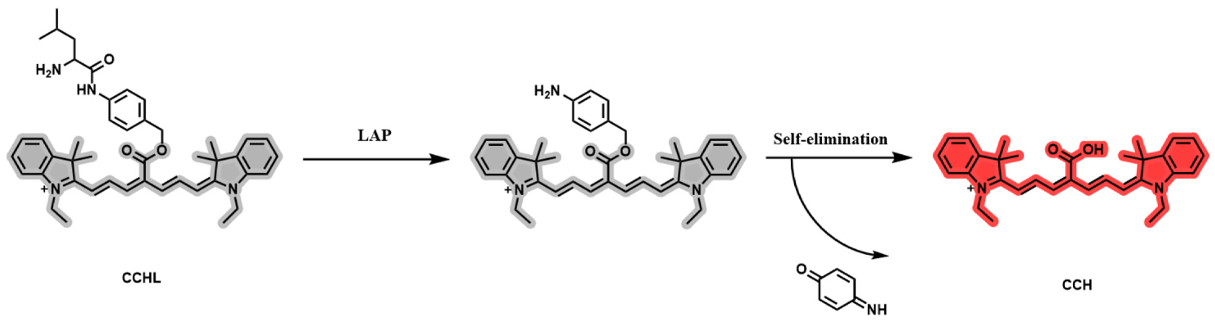 Chemosensors 13 00310 g003