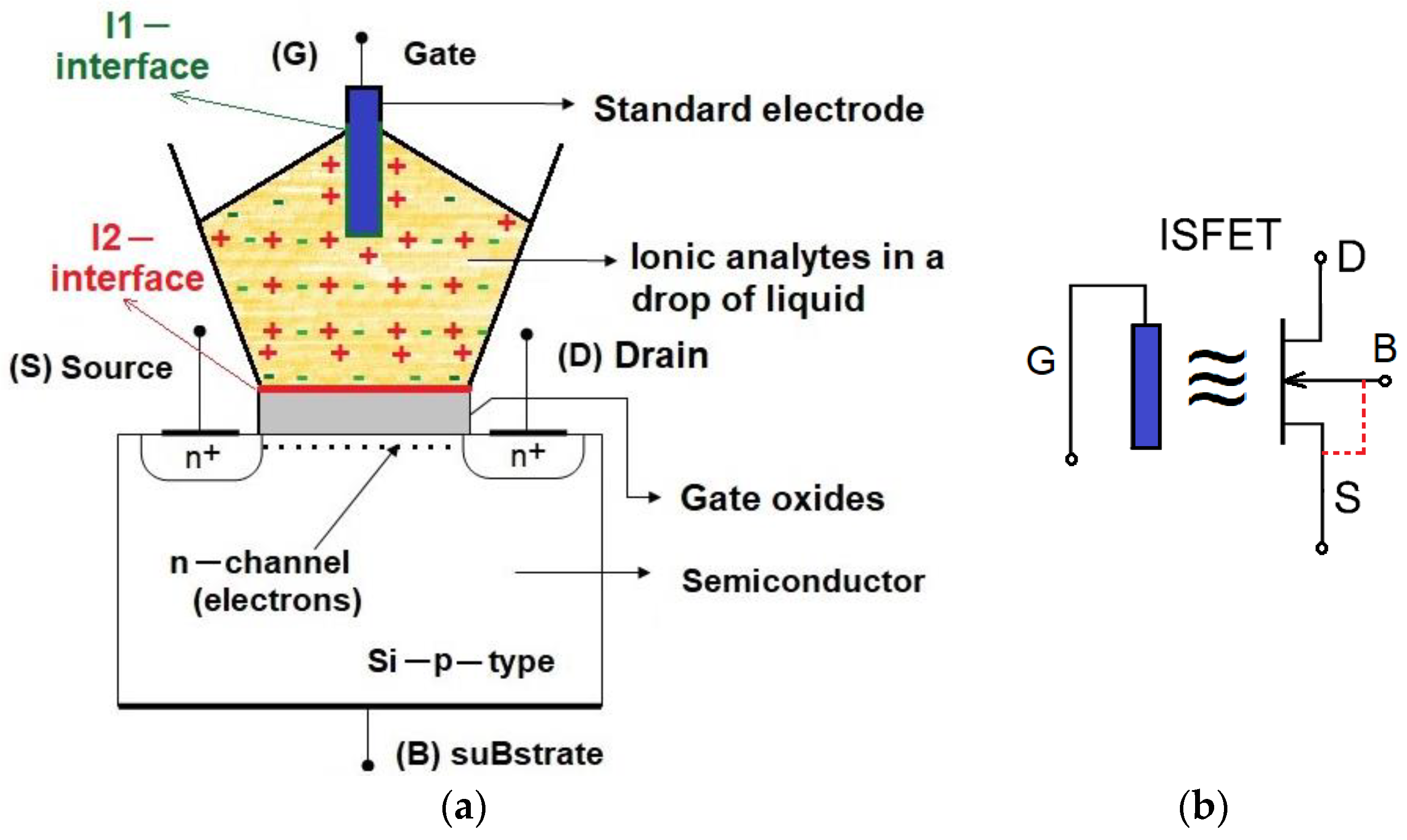 Chemosensors 13 00316 g001