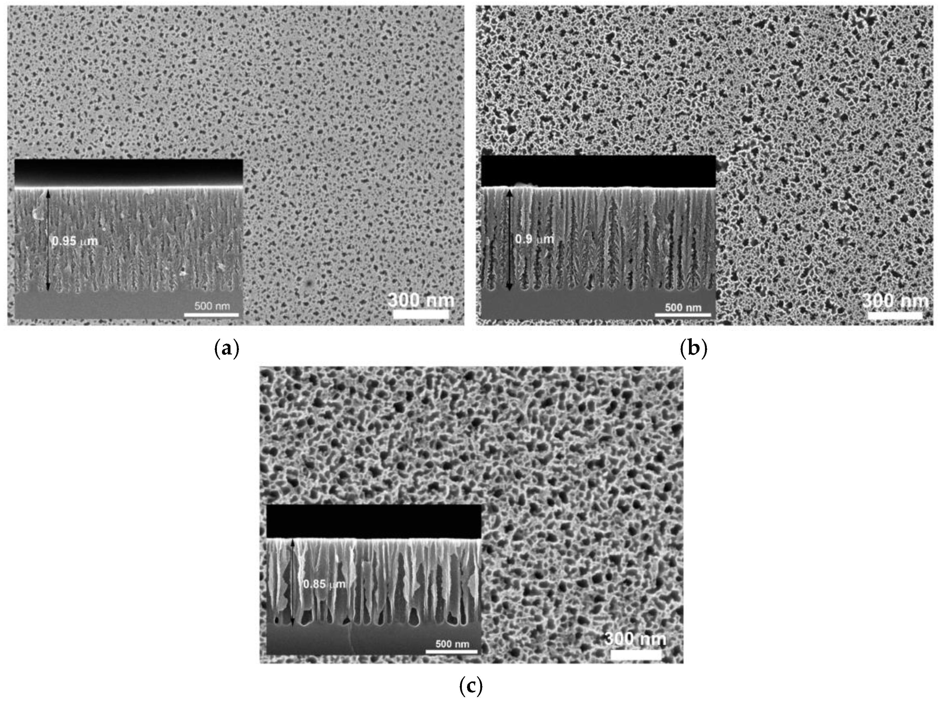 Chemosensors 13 00316 g004