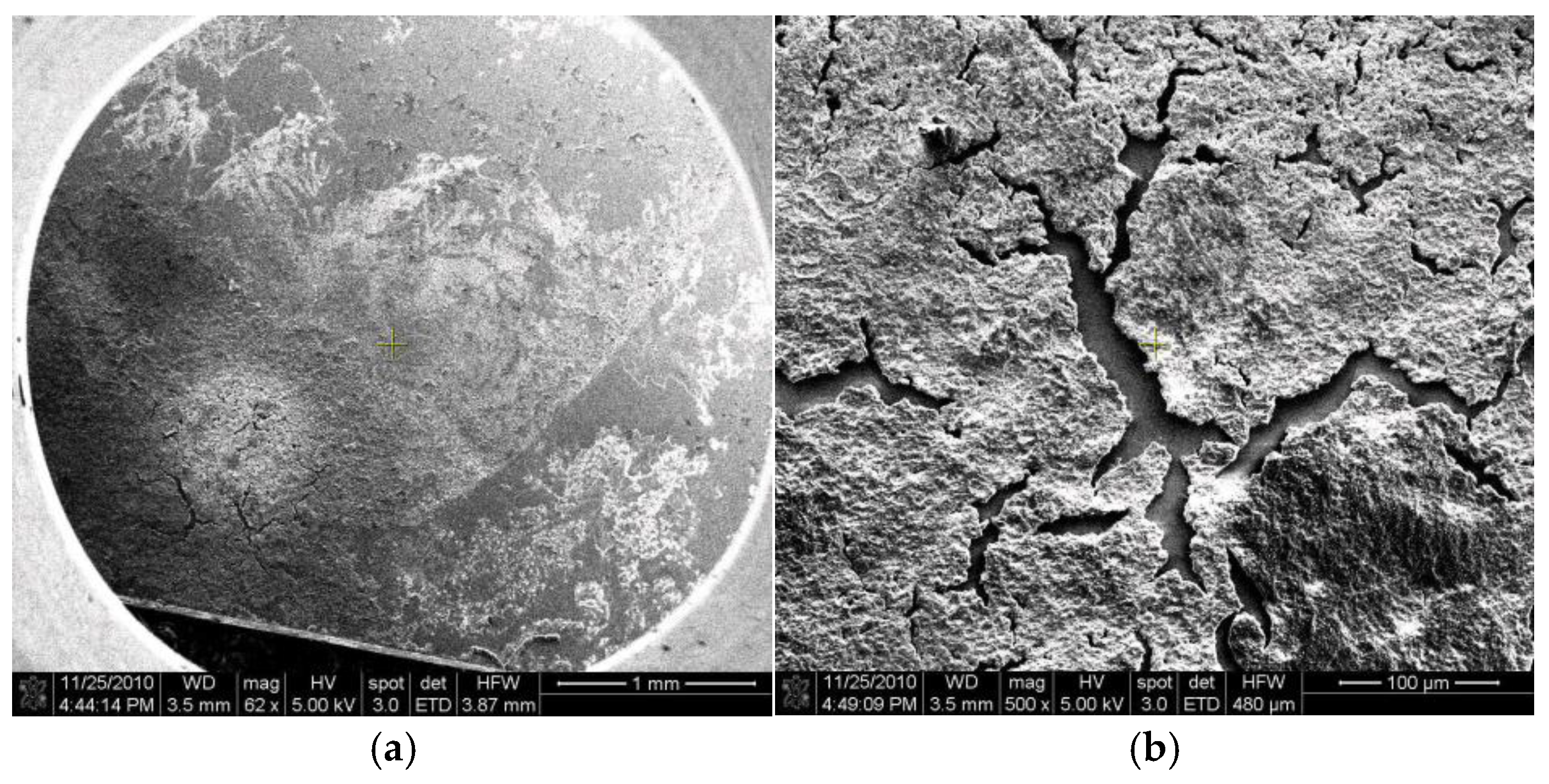 Chemosensors 13 00316 g010