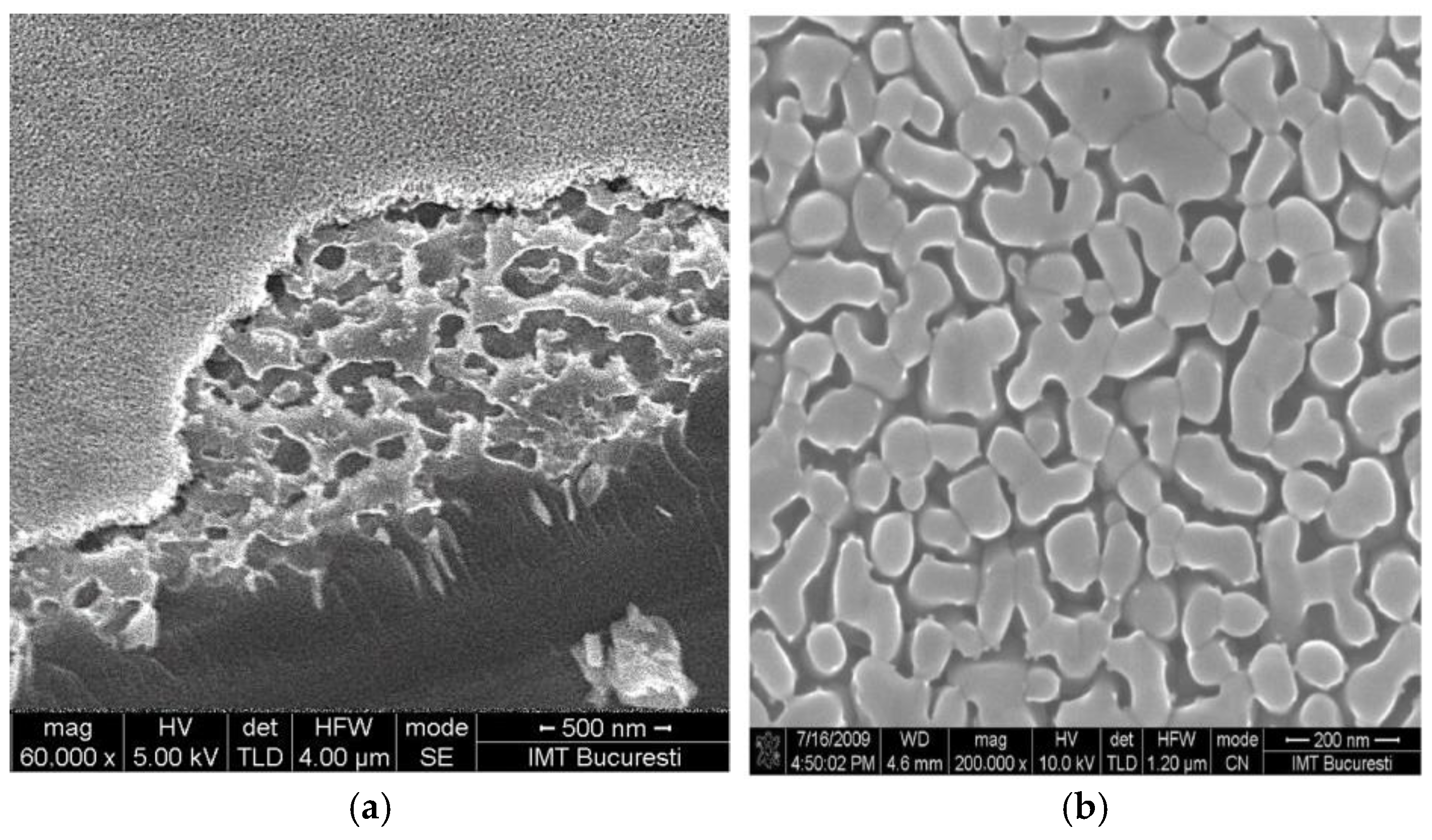 Chemosensors 13 00316 g013