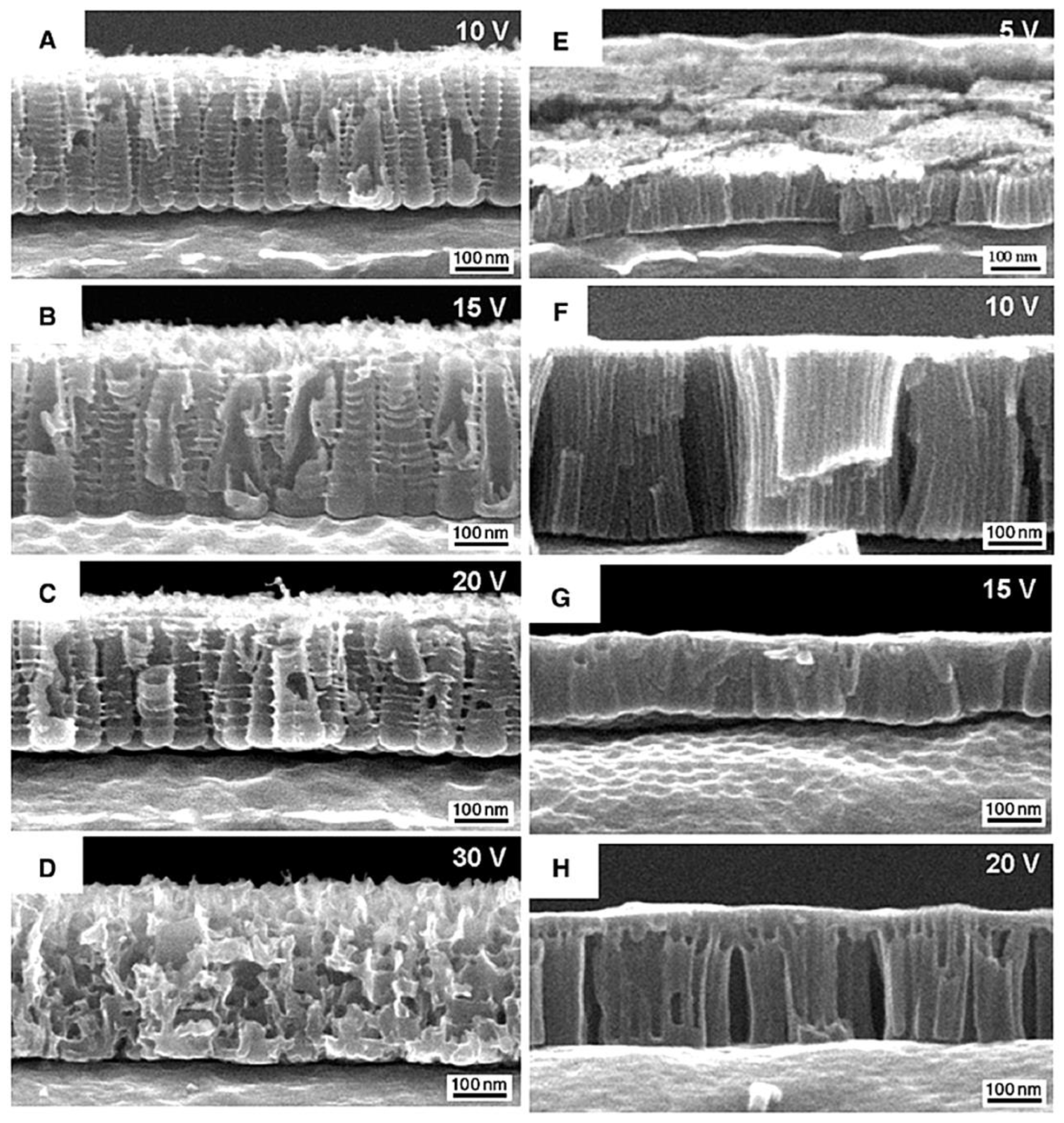 Chemosensors 13 00316 g014