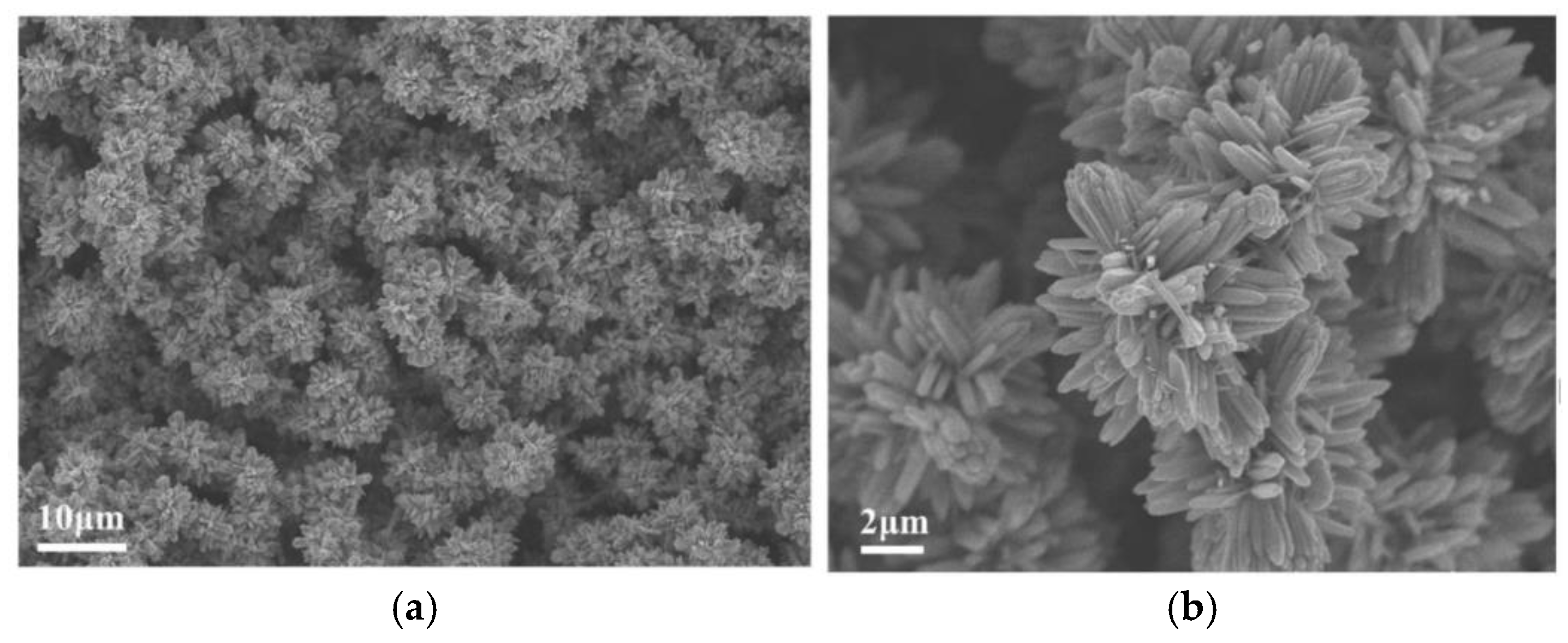 Chemosensors 13 00316 g015
