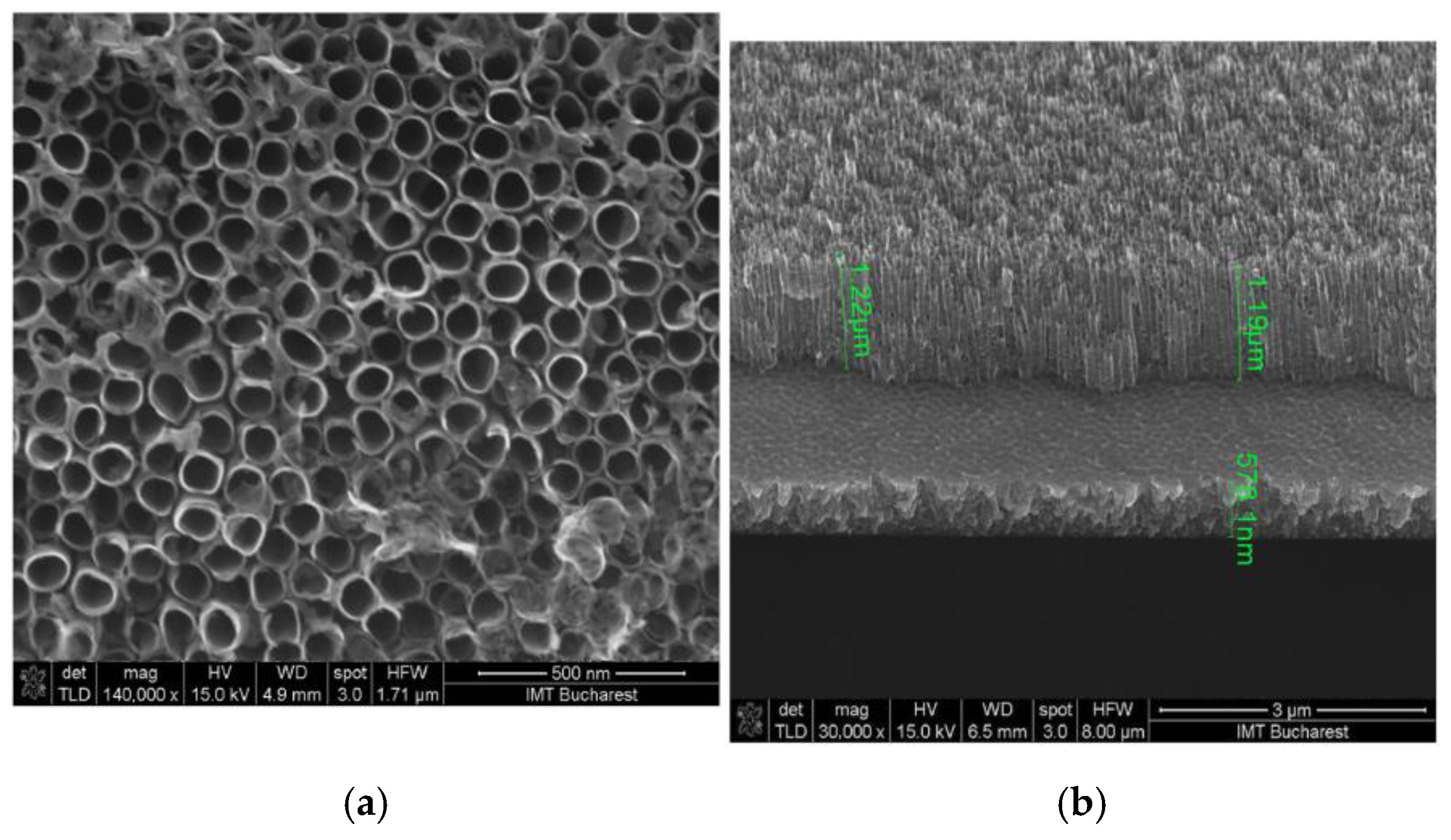 Chemosensors 13 00316 g016