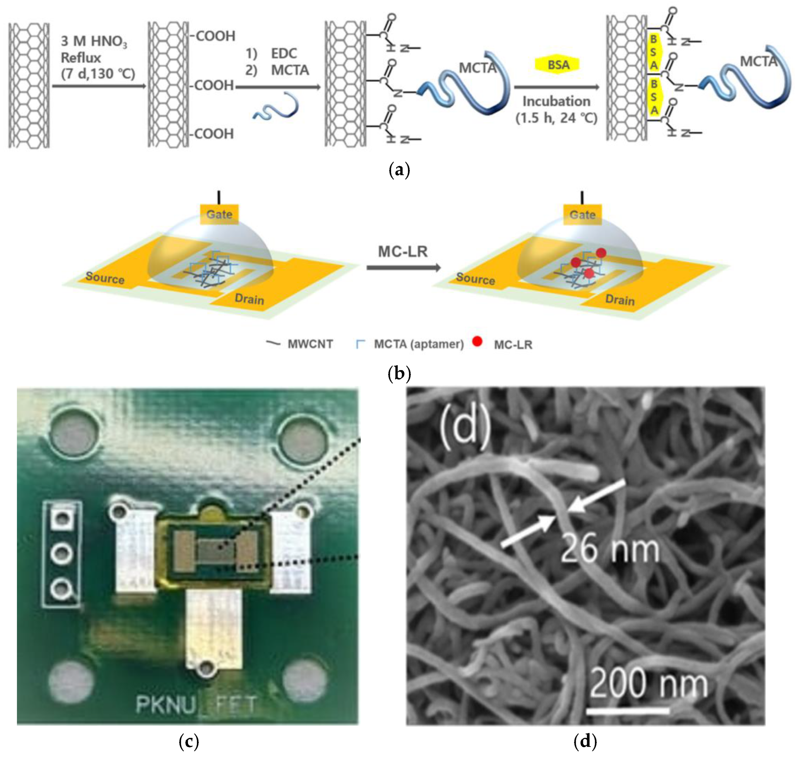Chemosensors 13 00316 g017